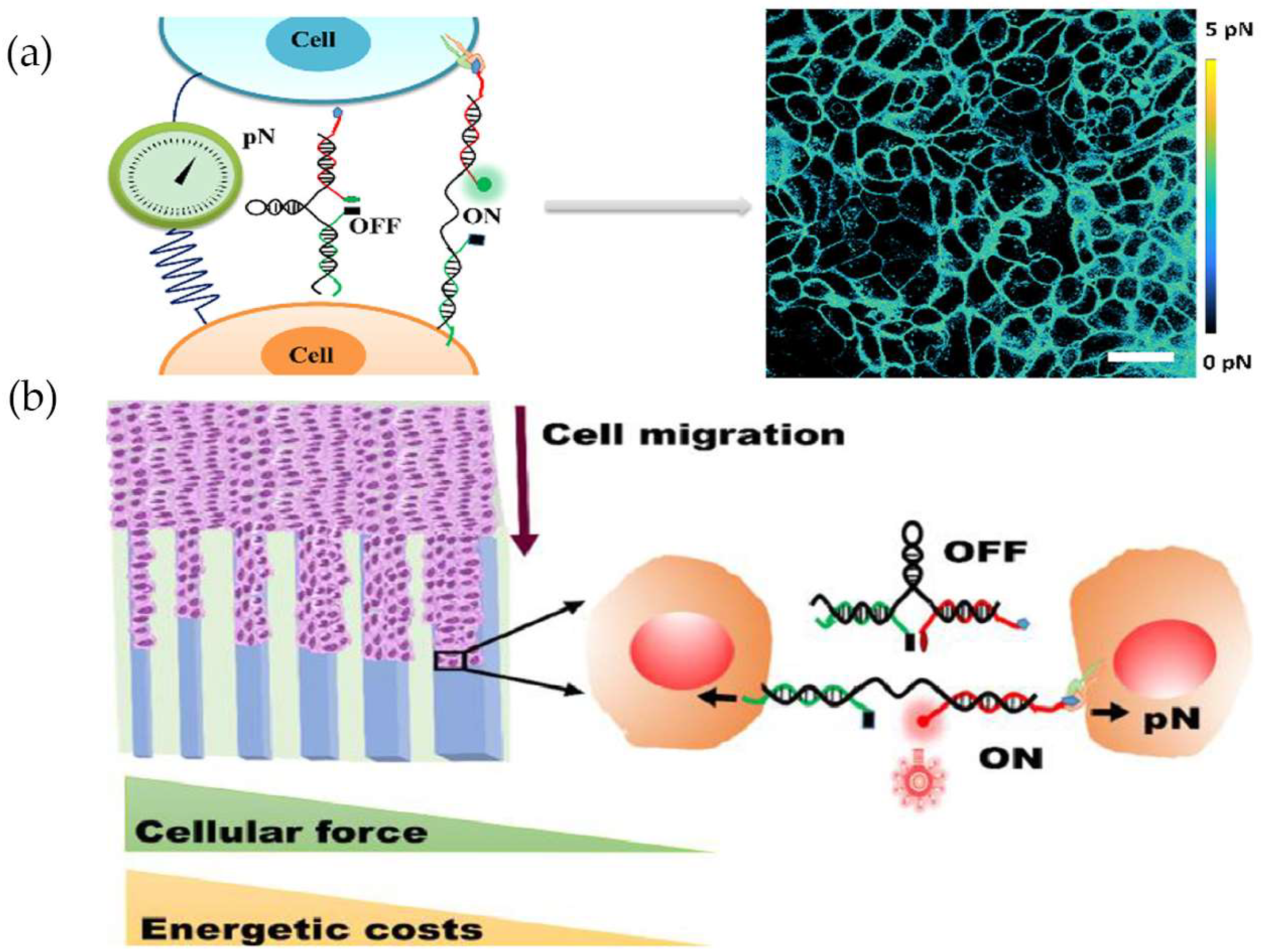 Chemistry 05 00106 g004 Chemistry 05 00106 g004