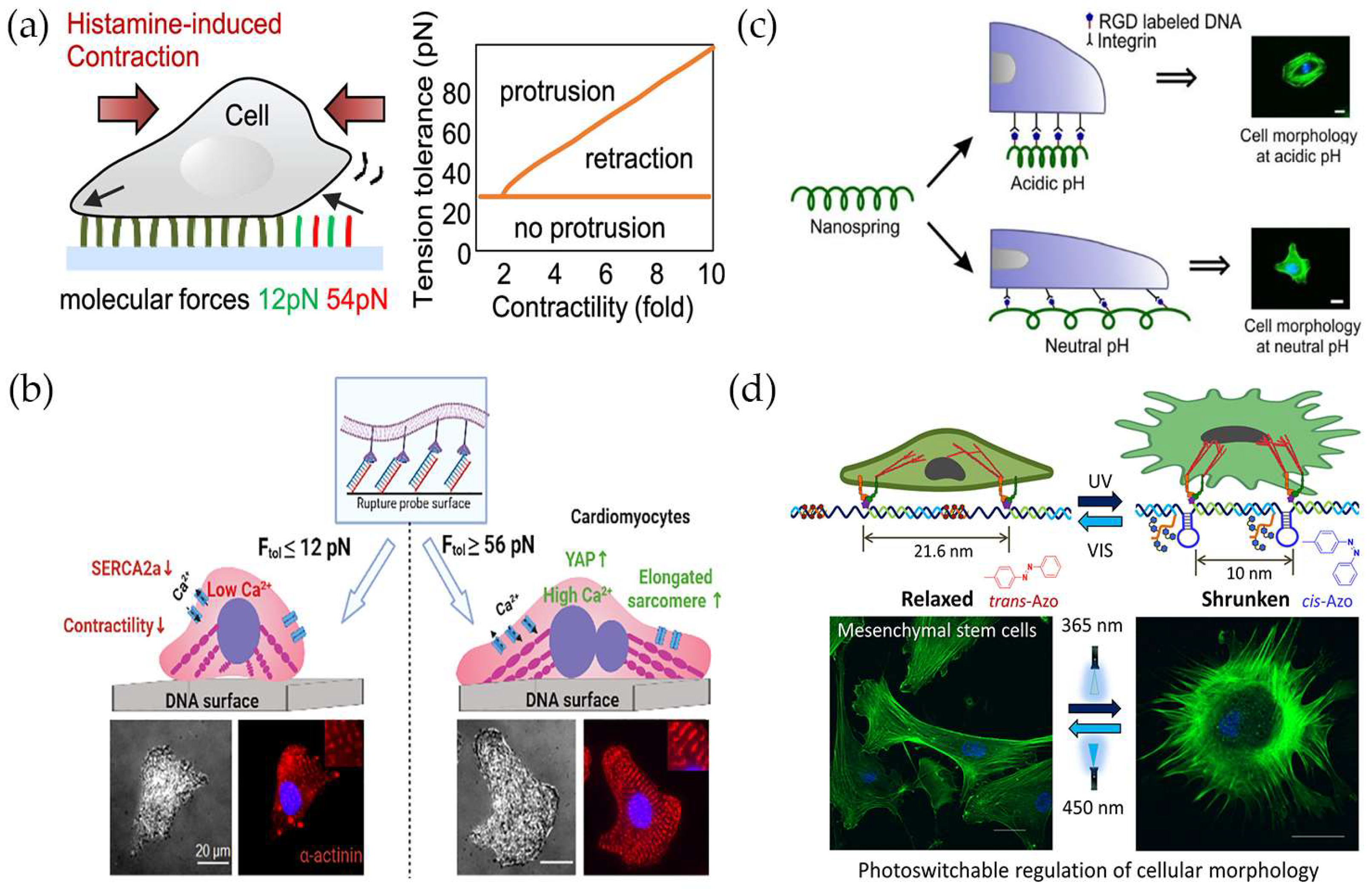 Chemistry 05 00106 g005 Chemistry 05 00106 g005