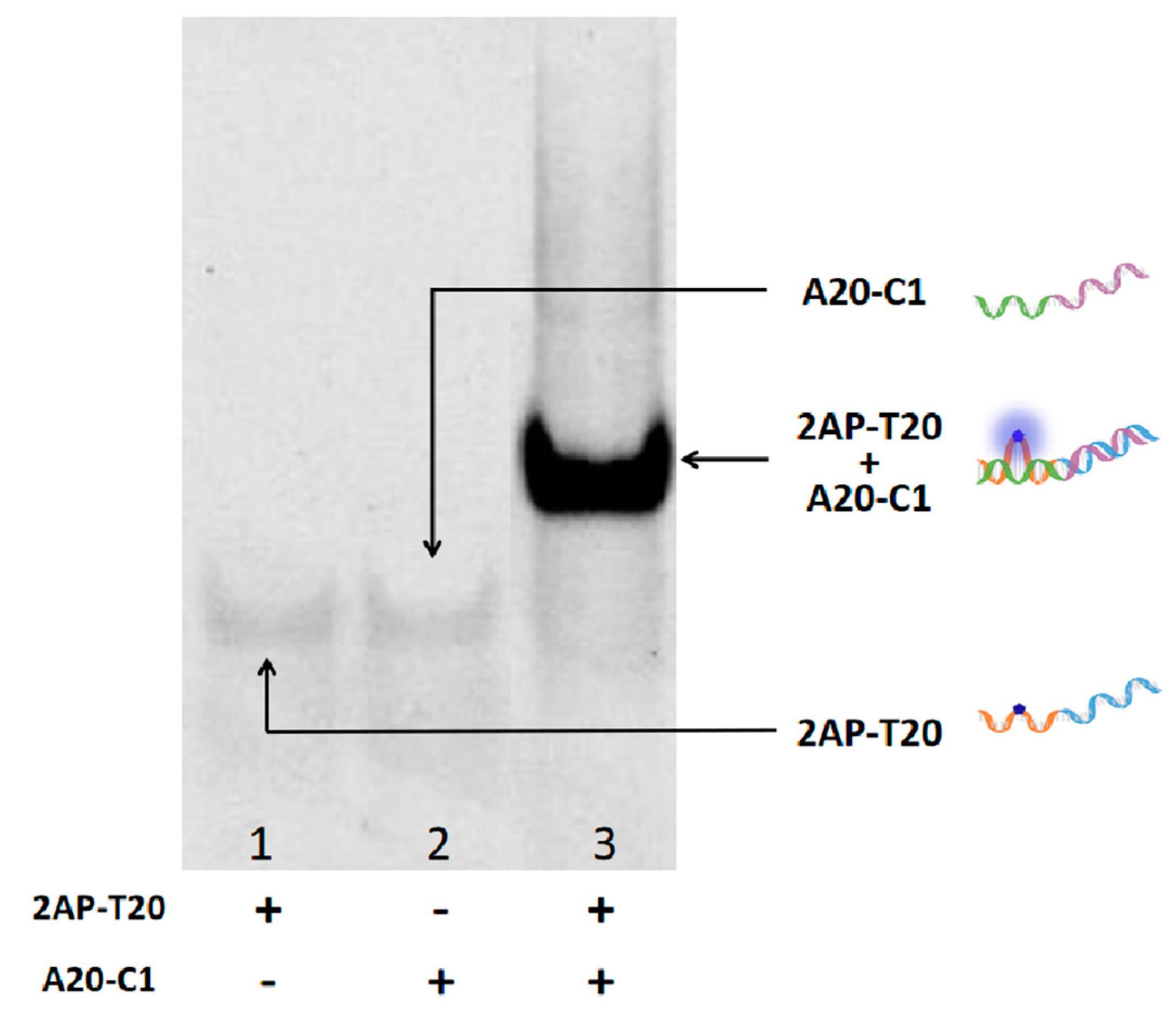 Chemistry 05 00108 g002 Chemistry 05 00108 g002