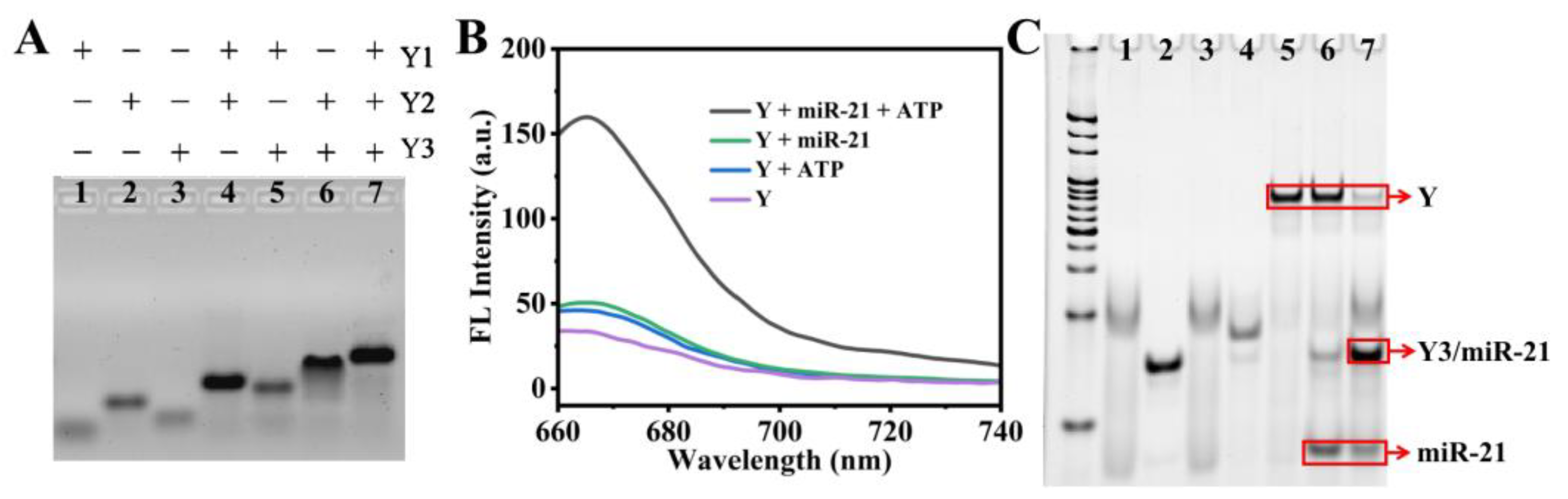 Chemistry 05 00112 g001 Chemistry 05 00112 g001