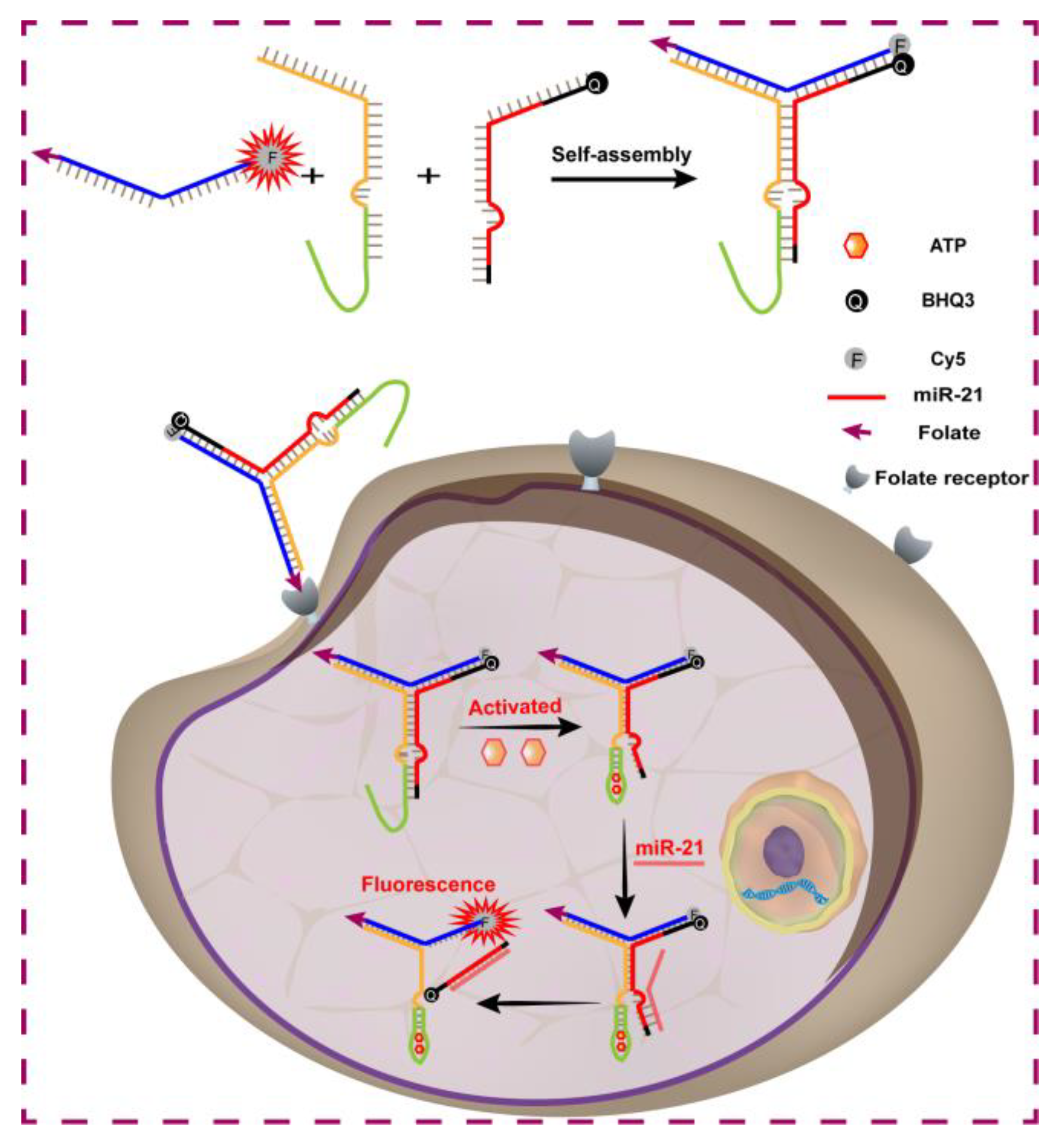Chemistry 05 00112 sch001 Chemistry 05 00112 sch001