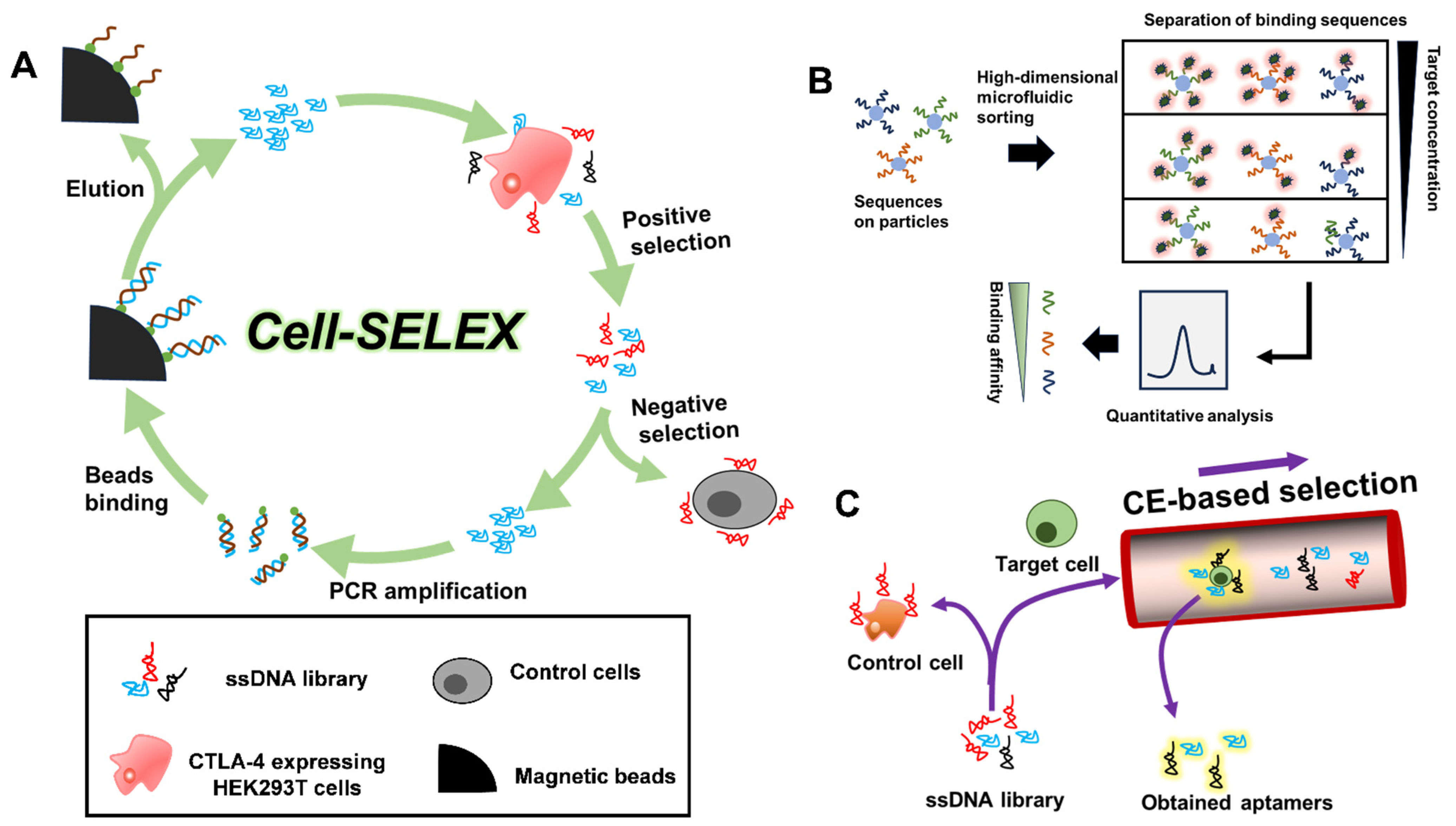 Chemistry 05 00114 g001