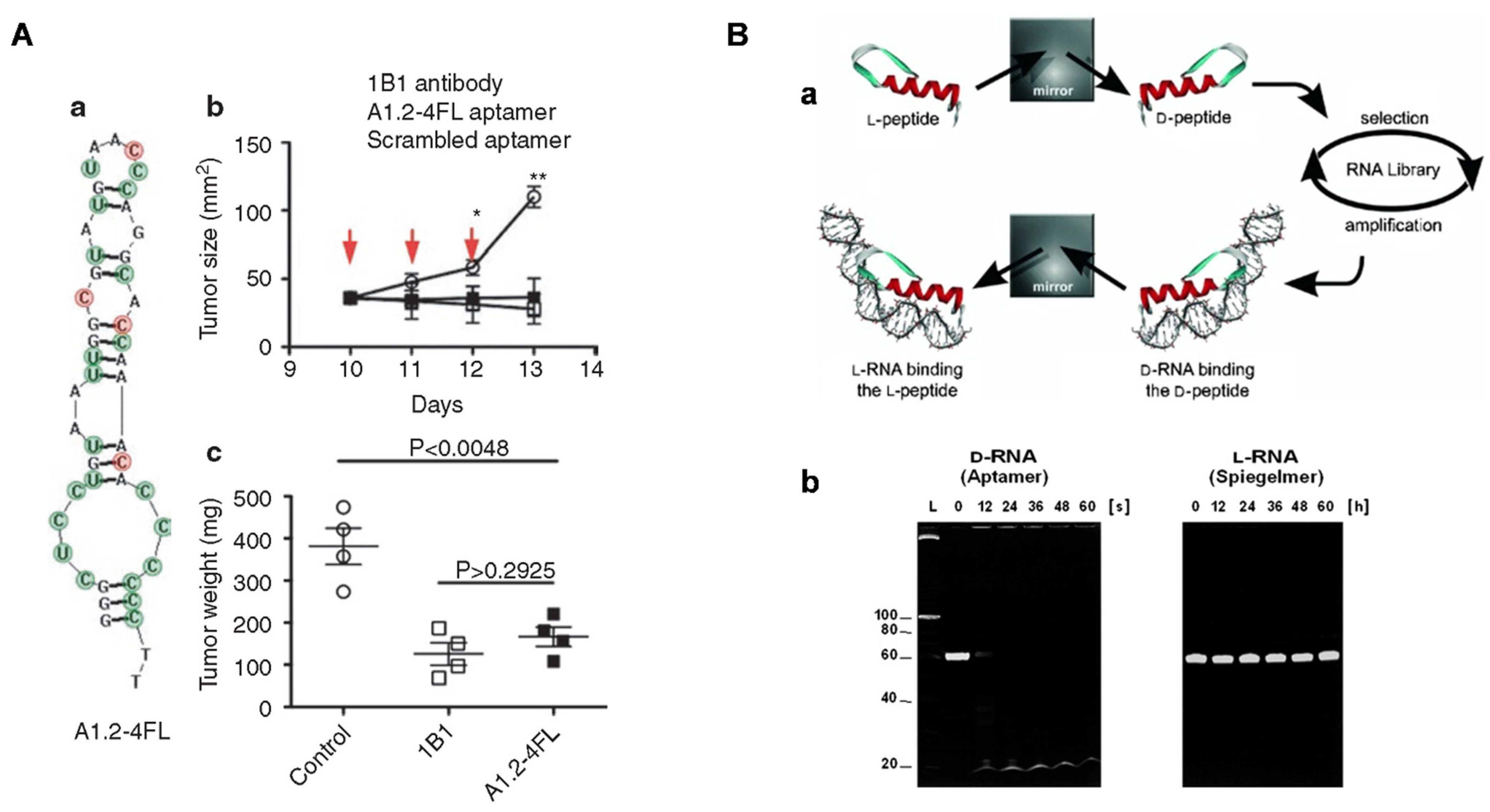 Chemistry 05 00114 g003 Chemistry 05 00114 g003