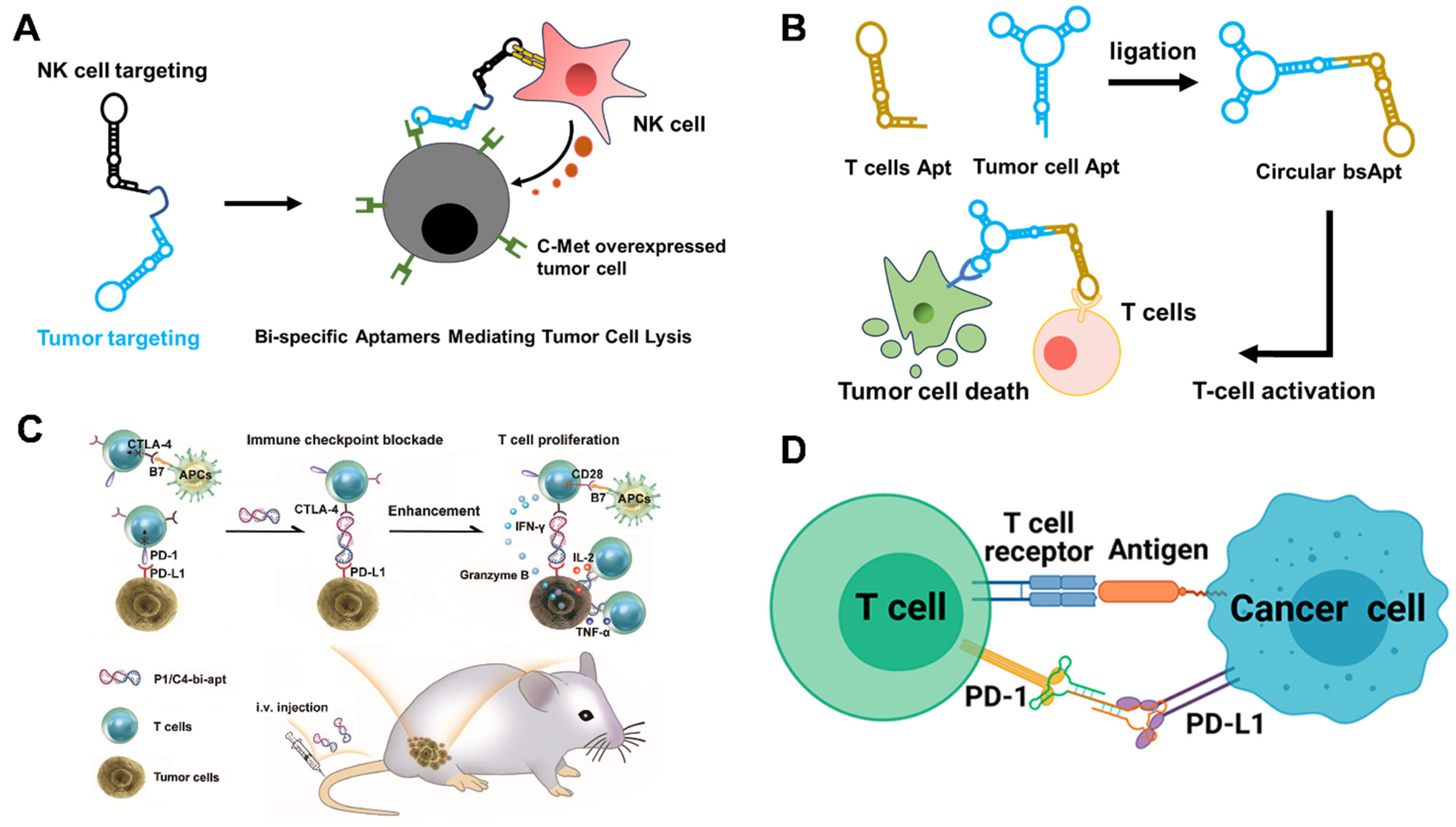 Chemistry 05 00114 g004 Chemistry 05 00114 g004