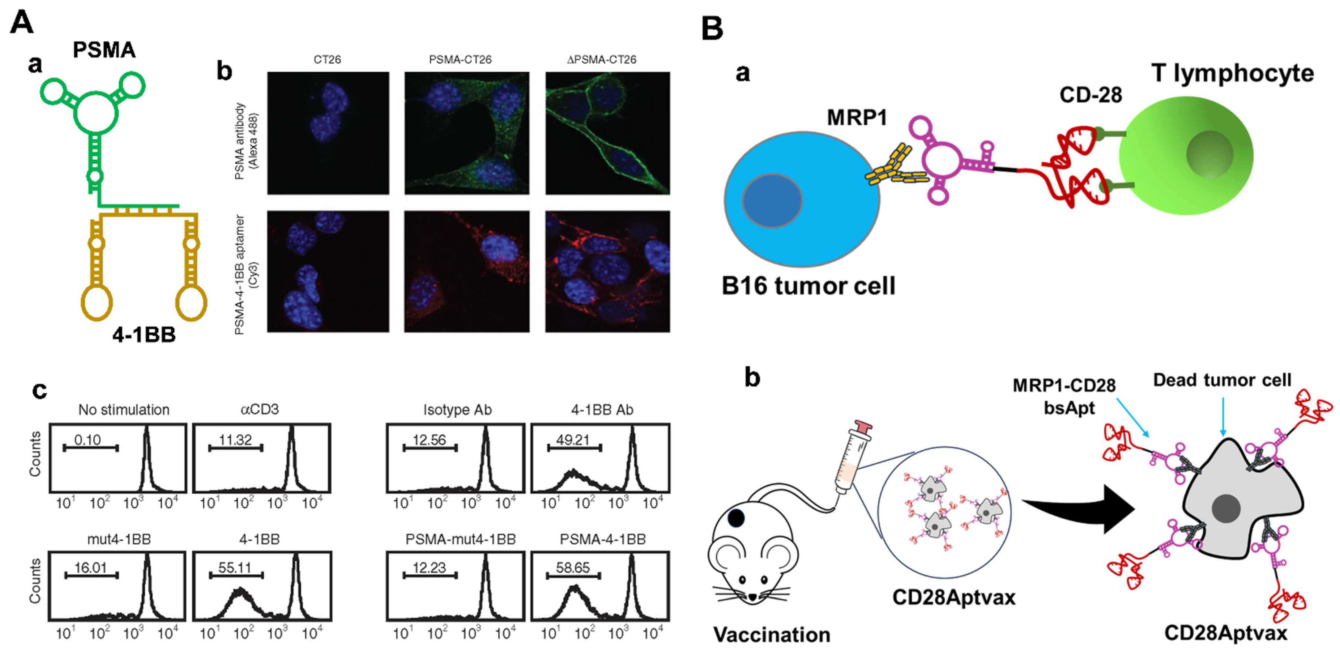 Chemistry 05 00114 g005 Chemistry 05 00114 g005
