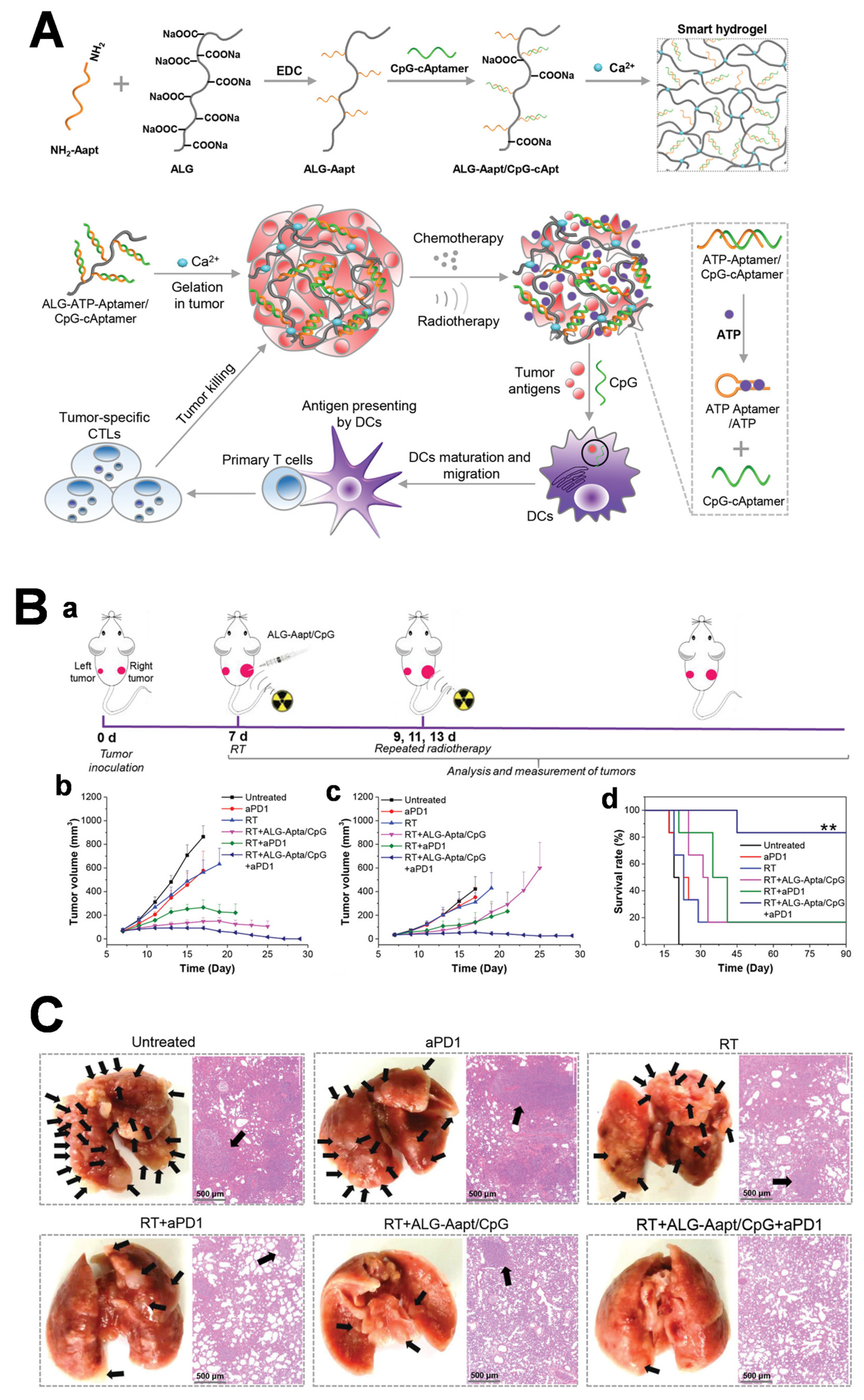 Chemistry 05 00114 g009 Chemistry 05 00114 g009
