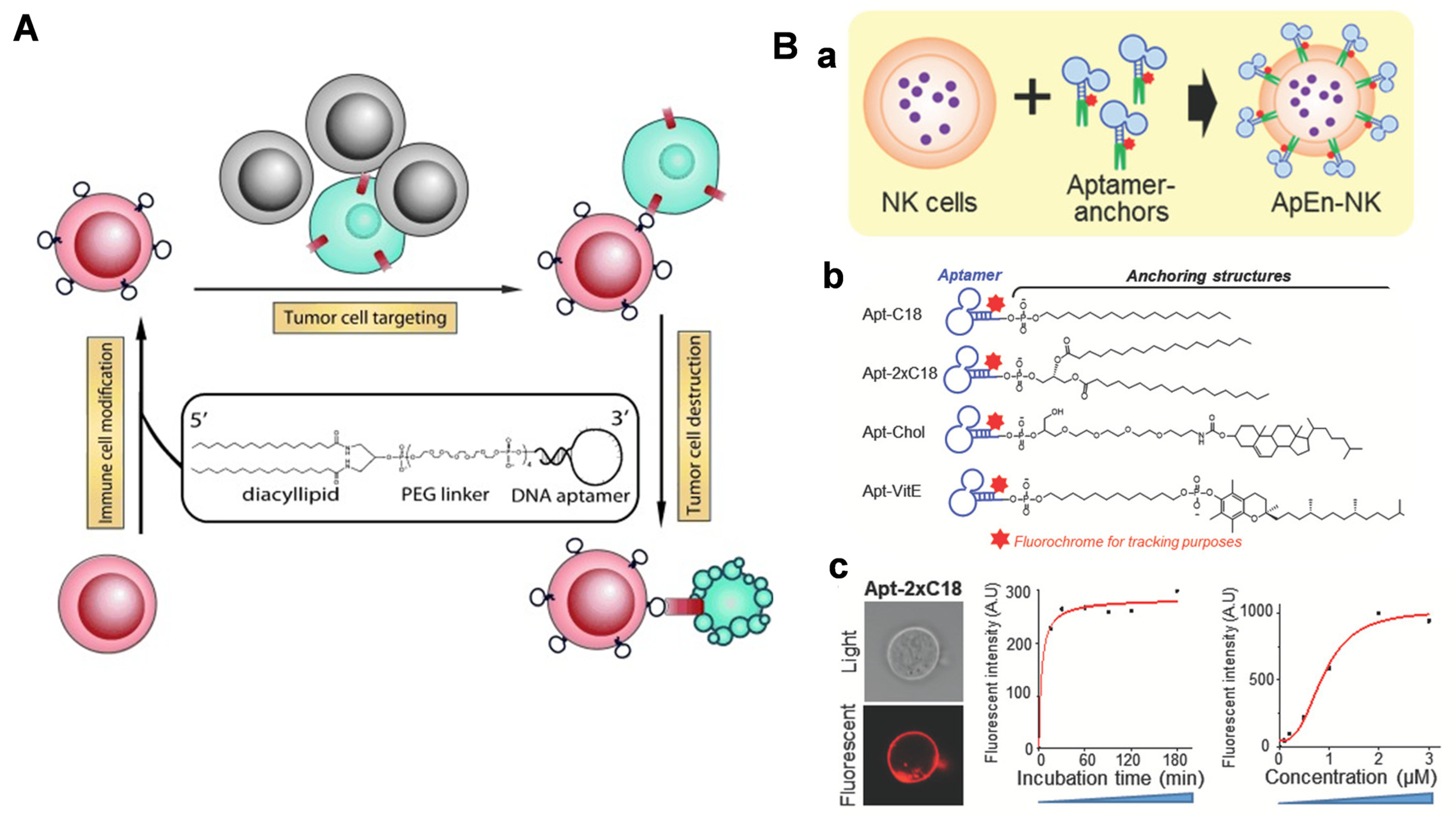 Chemistry 05 00114 g010 Chemistry 05 00114 g010