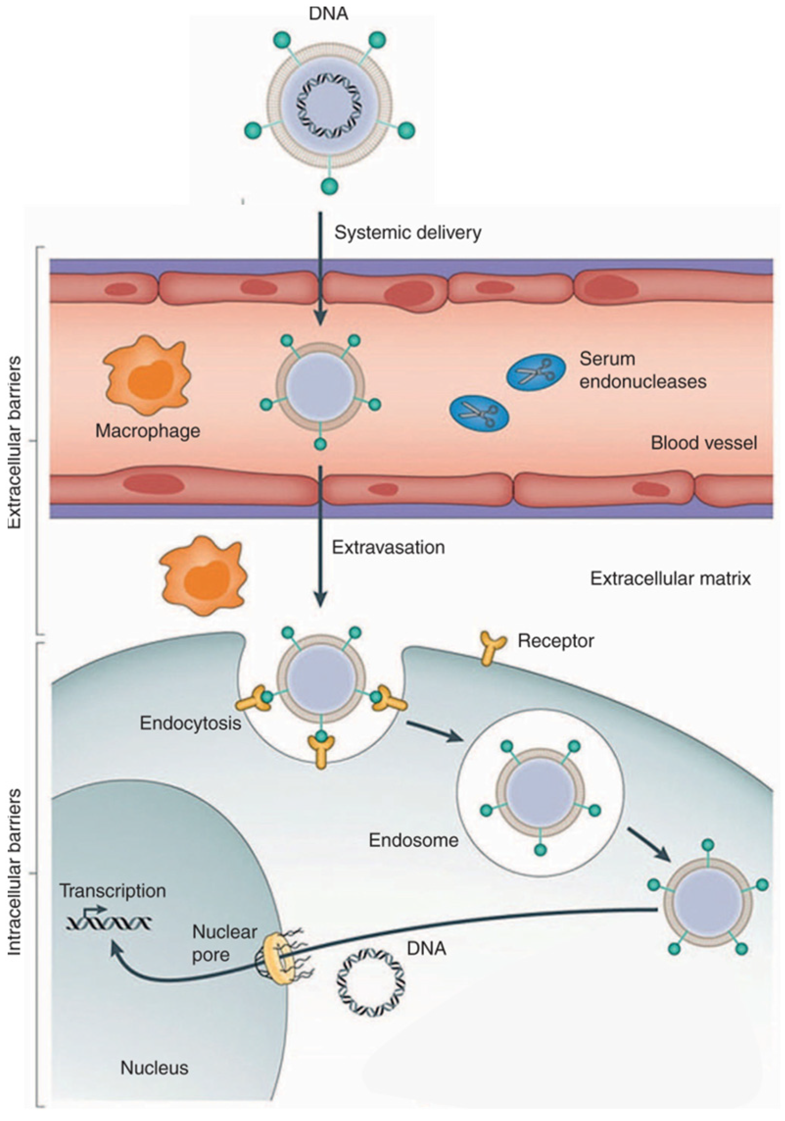 Chemistry 05 00116 g001 Chemistry 05 00116 g001