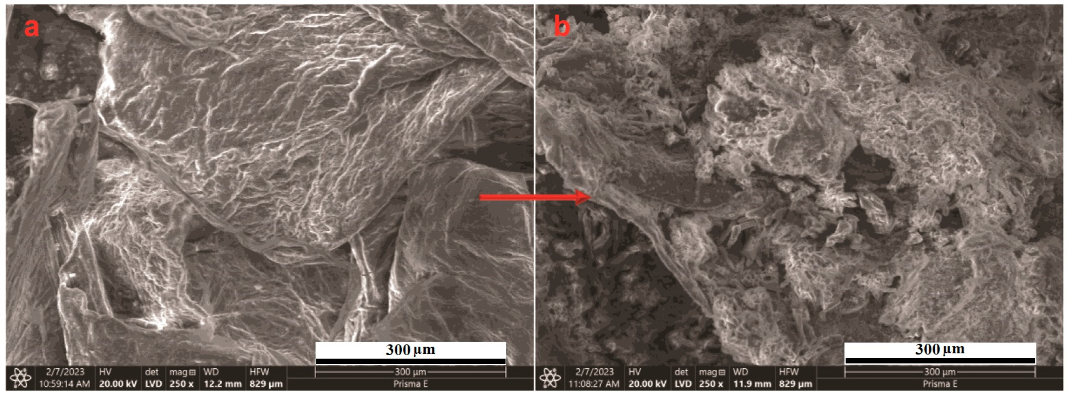 Chemistry 05 00118 g004 Chemistry 05 00118 g004
