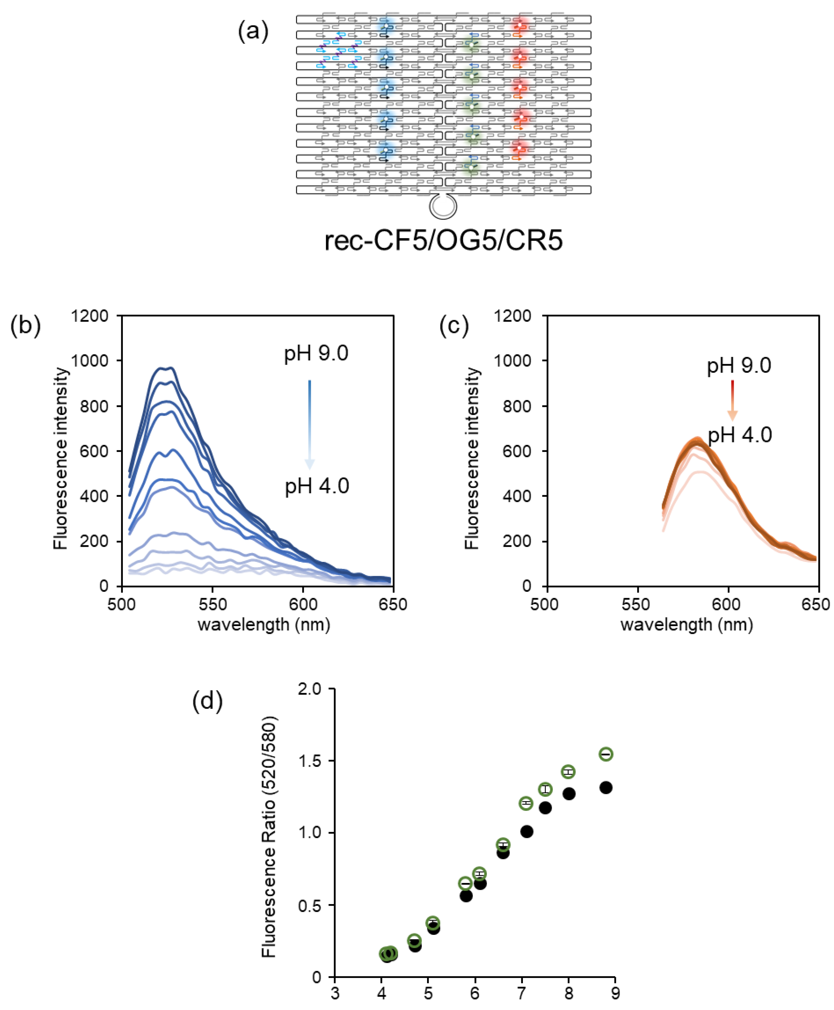 Chemistry 05 00125 g003
