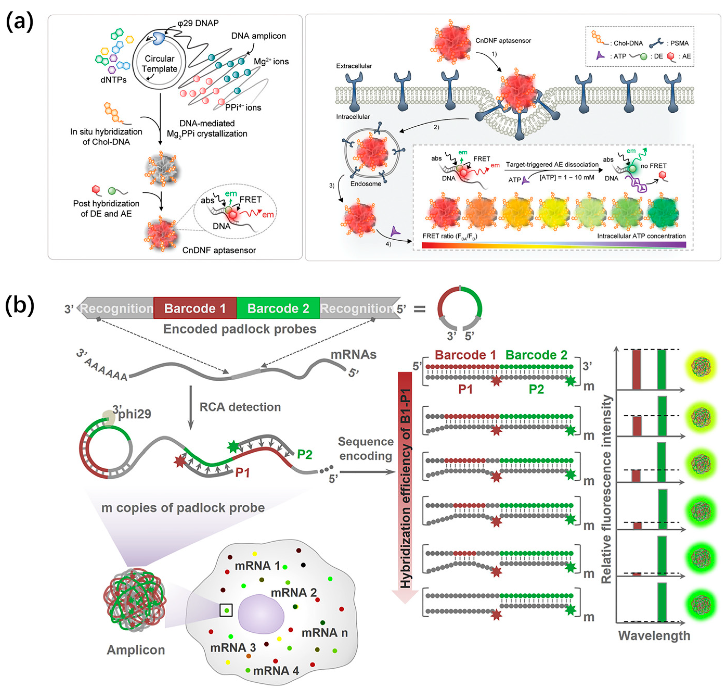 Chemistry 05 00129 g008