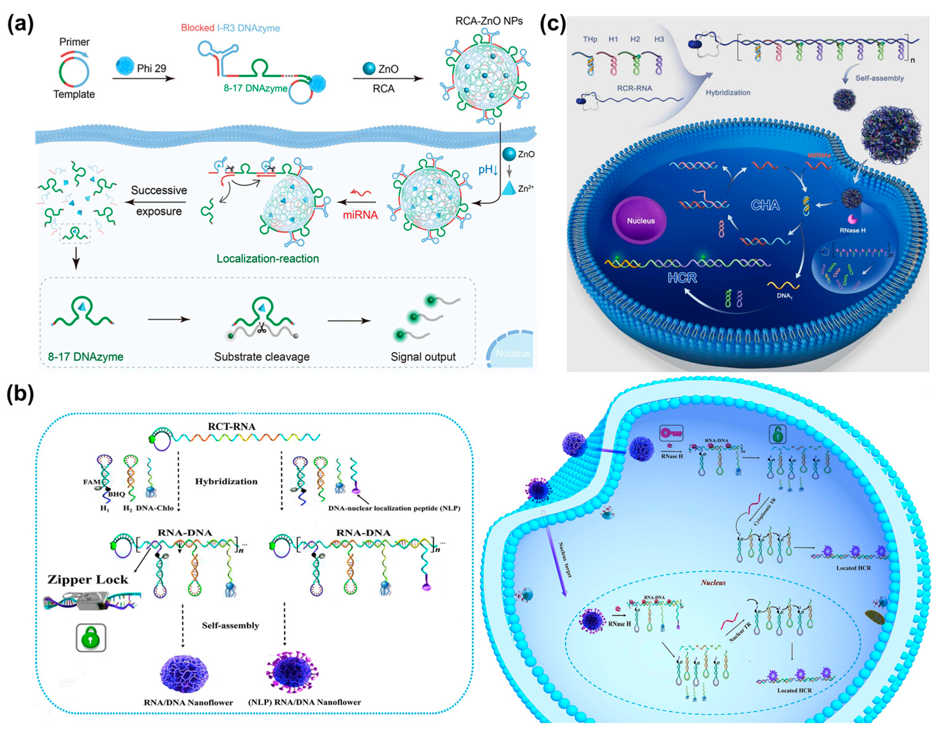 Chemistry 05 00129 g009