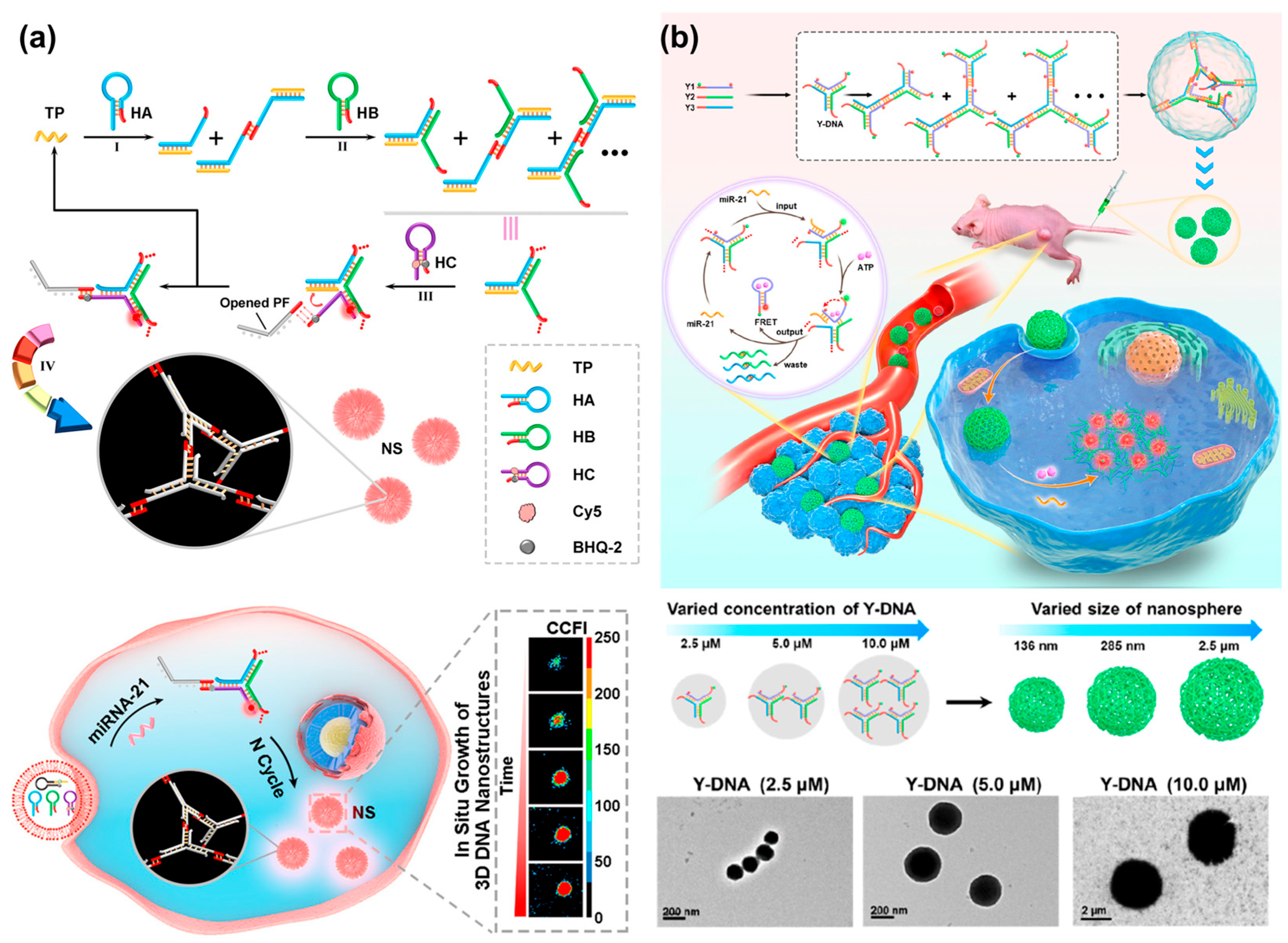 Chemistry 05 00129 g010
