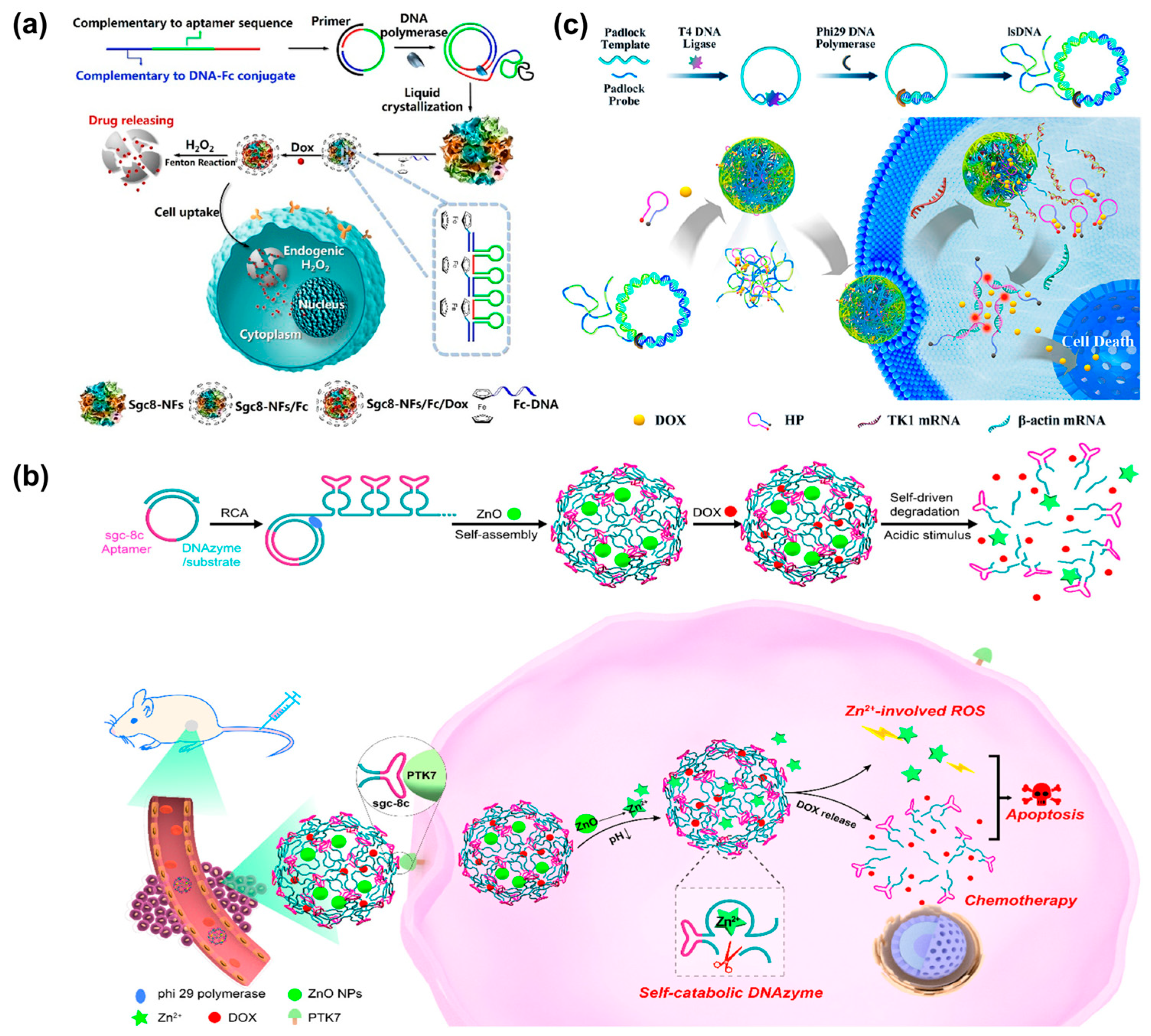 Chemistry 05 00129 g012