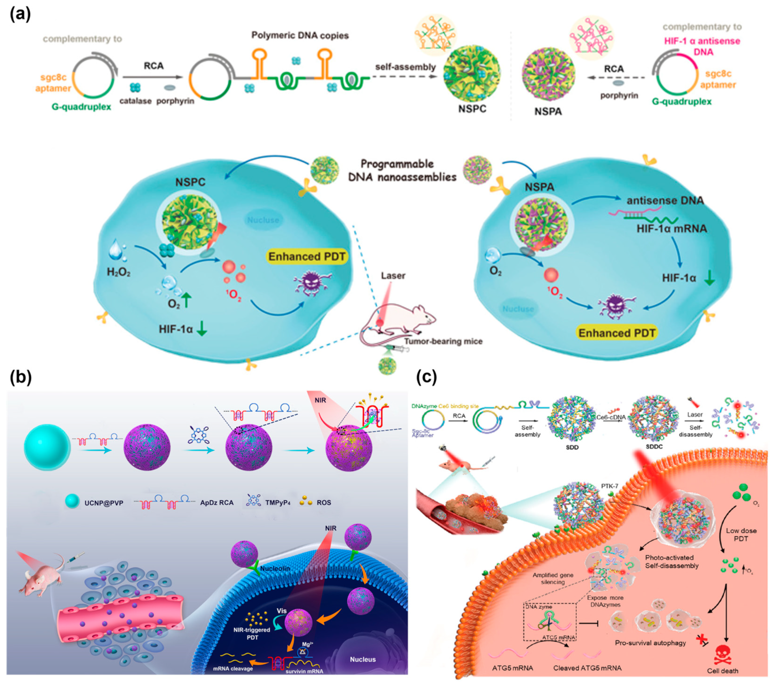 Chemistry 05 00129 g014