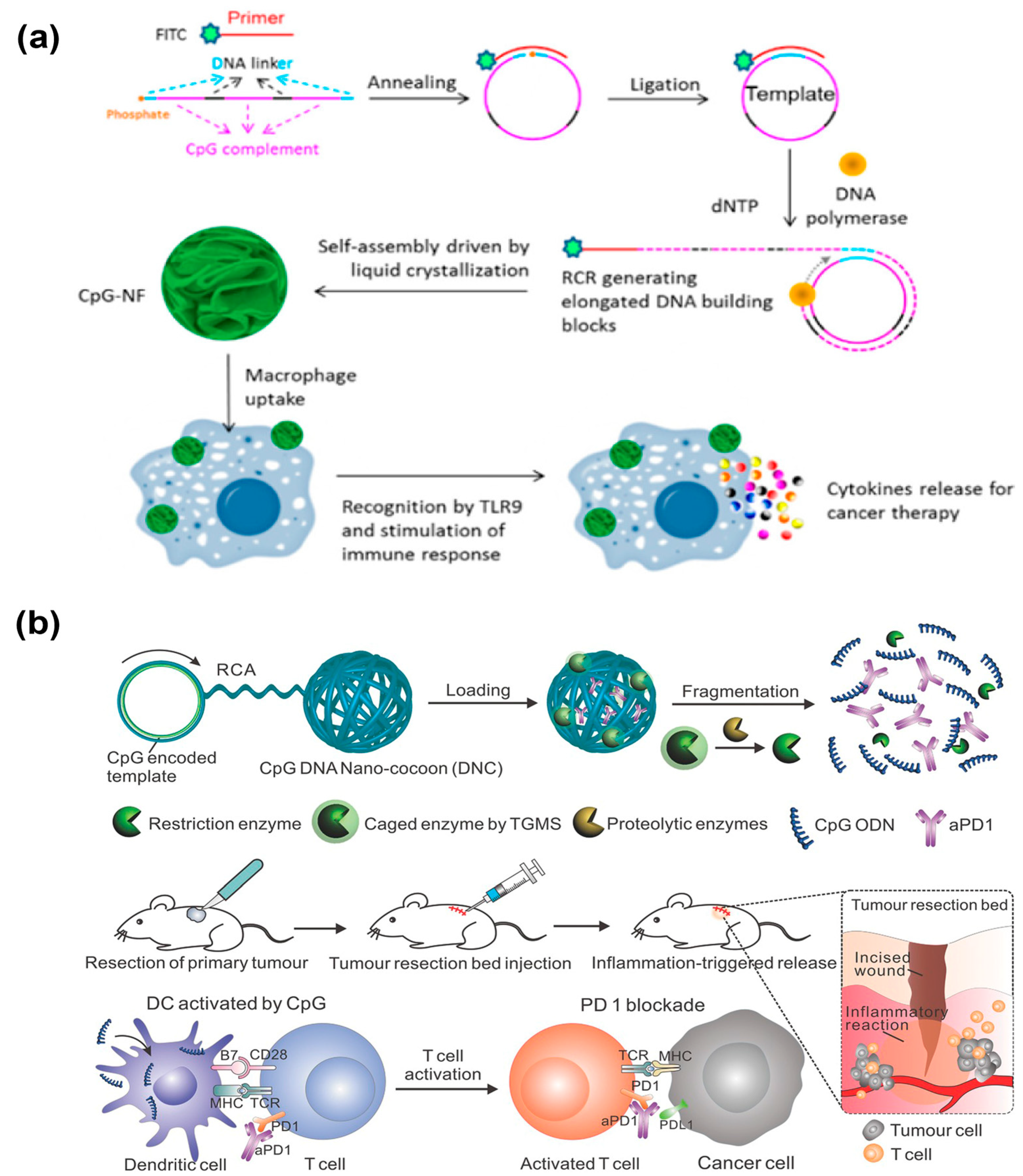 Chemistry 05 00129 g015