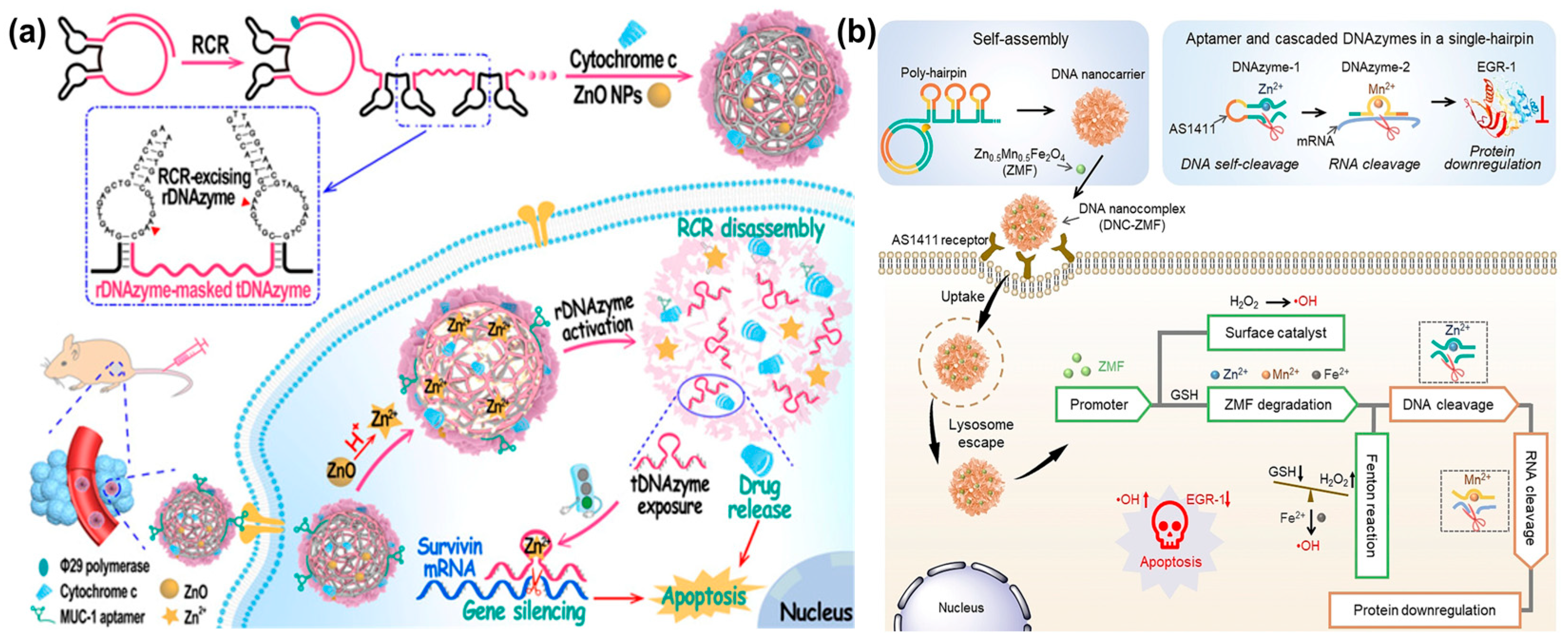 Chemistry 05 00129 g017