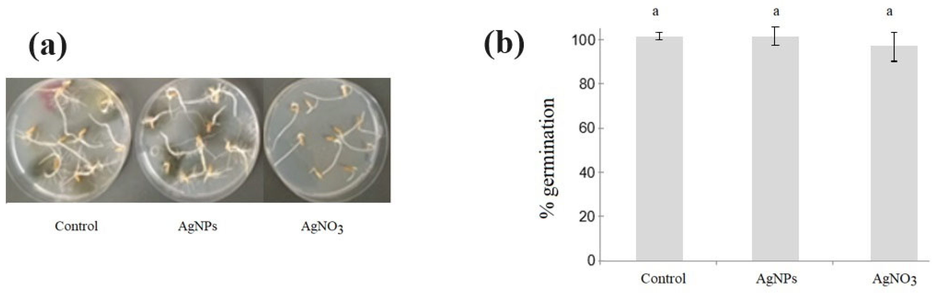Chemistry 05 00143 g009