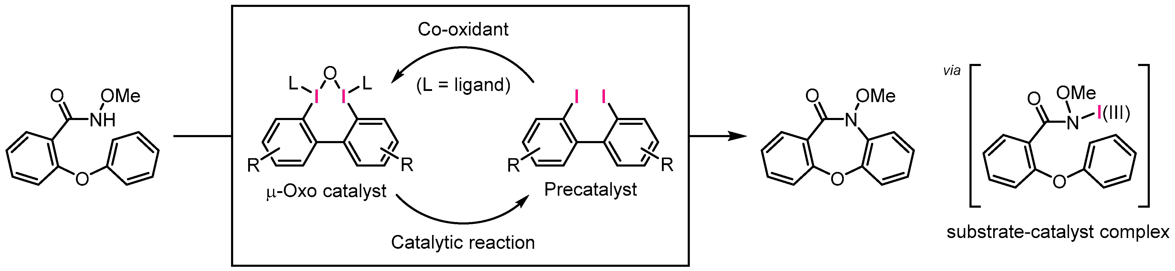 Chemistry 05 00145 sch003 Chemistry 05 00145 sch003