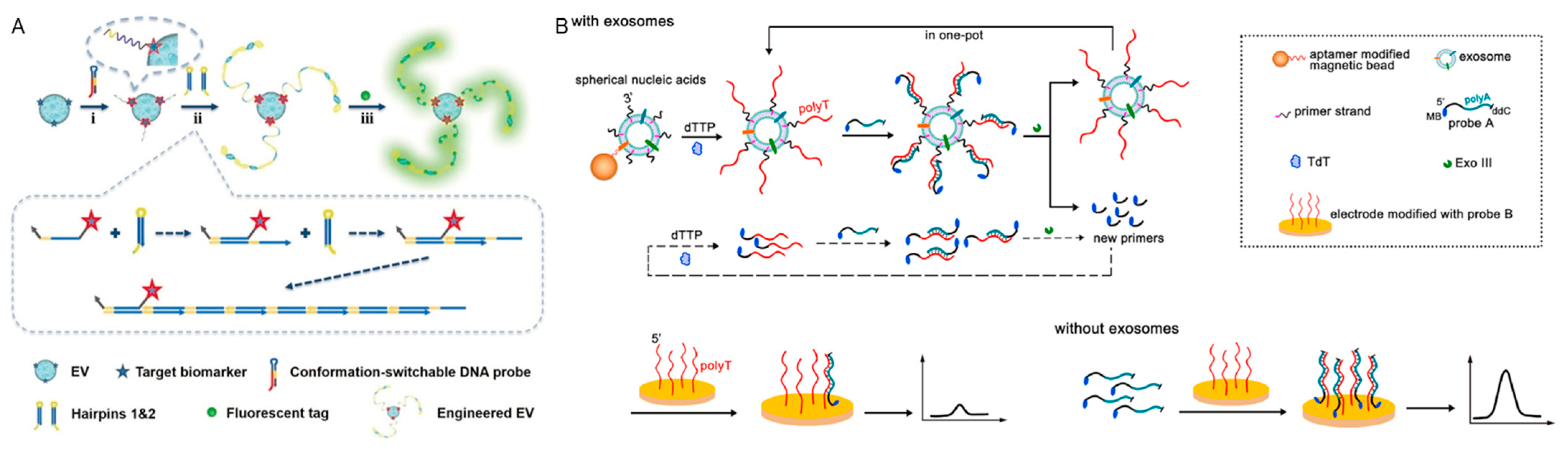 Chemistry 05 00147 g003