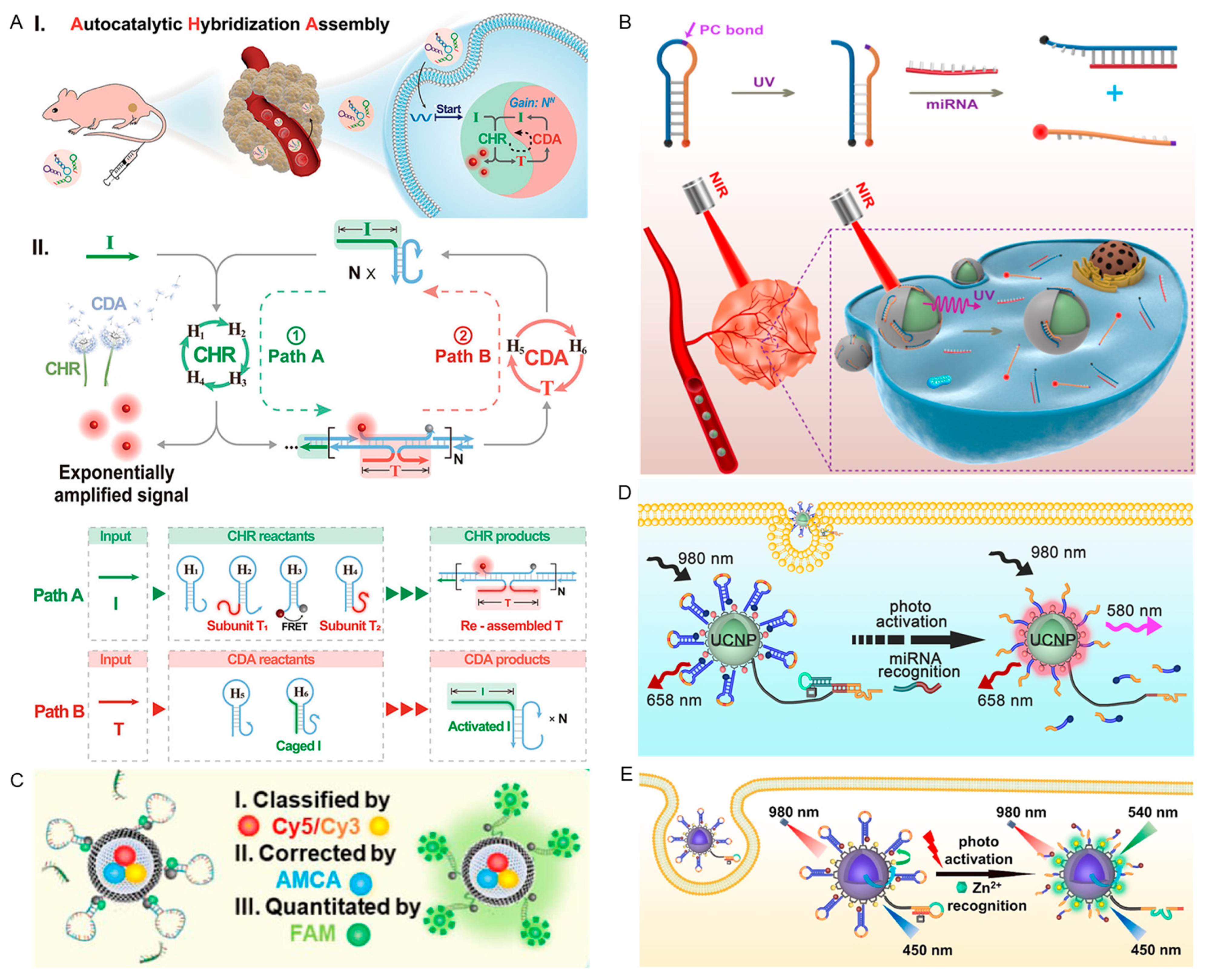 Chemistry 05 00147 g005