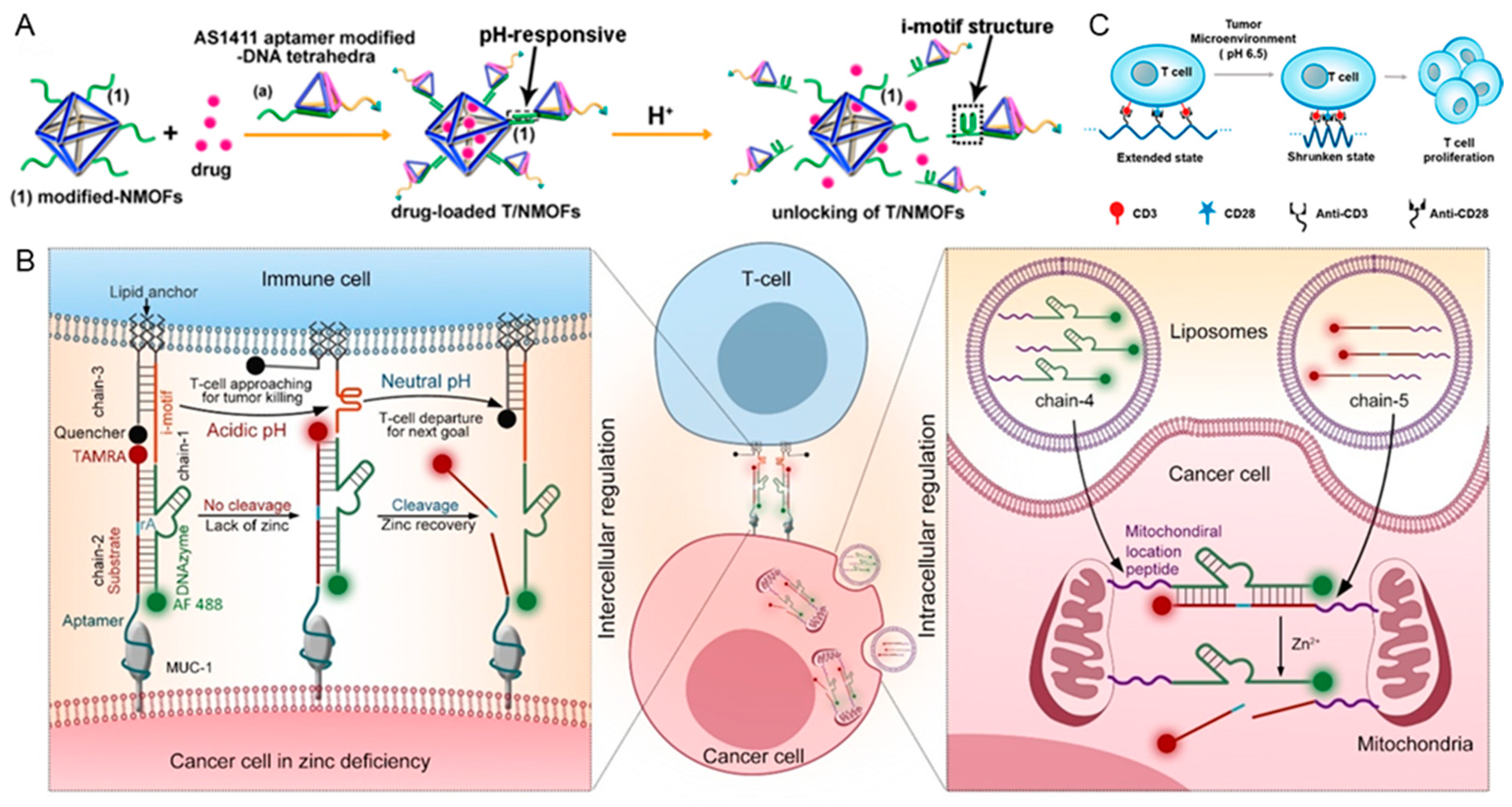 Chemistry 05 00147 g006