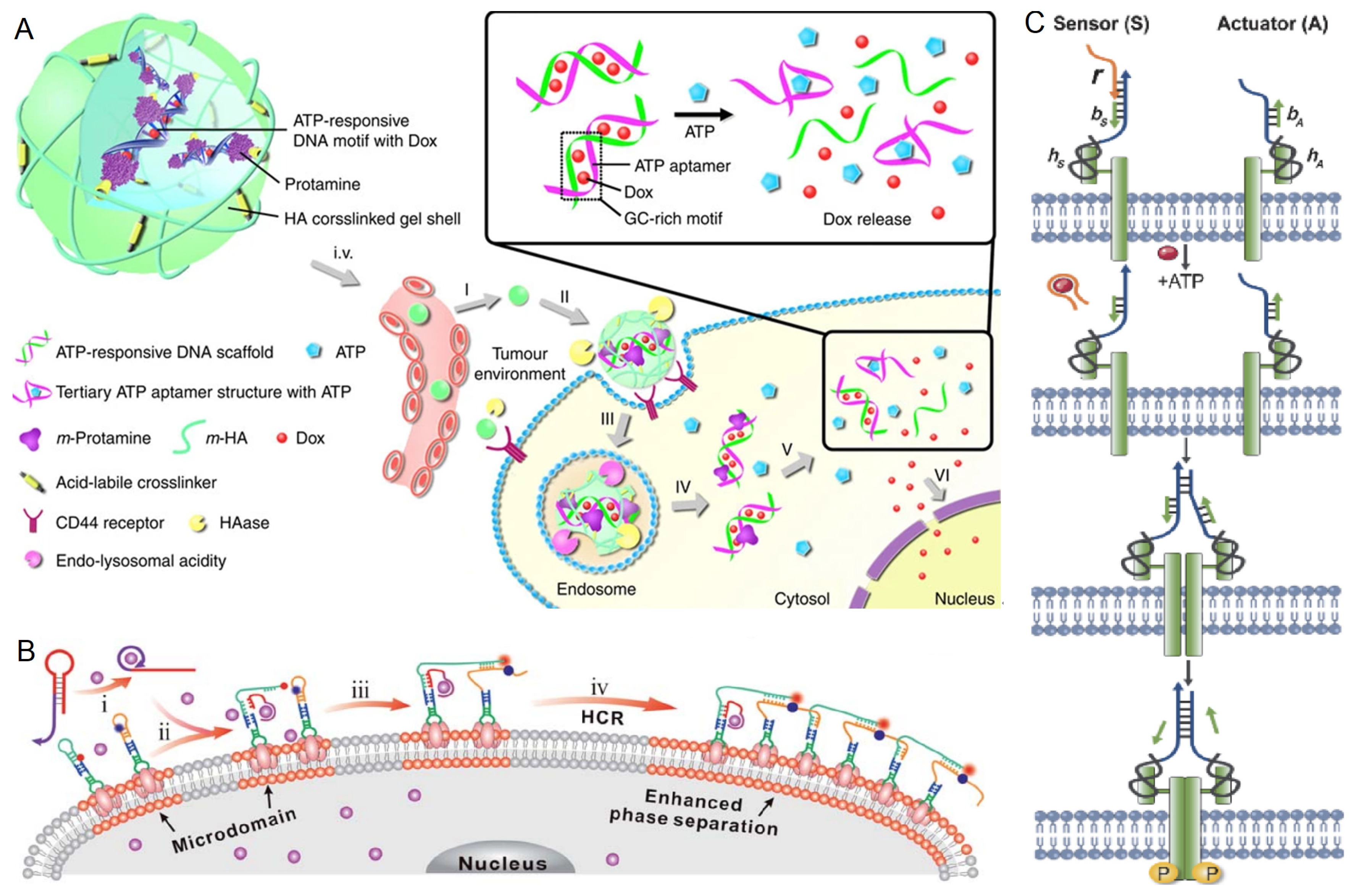Chemistry 05 00147 g007