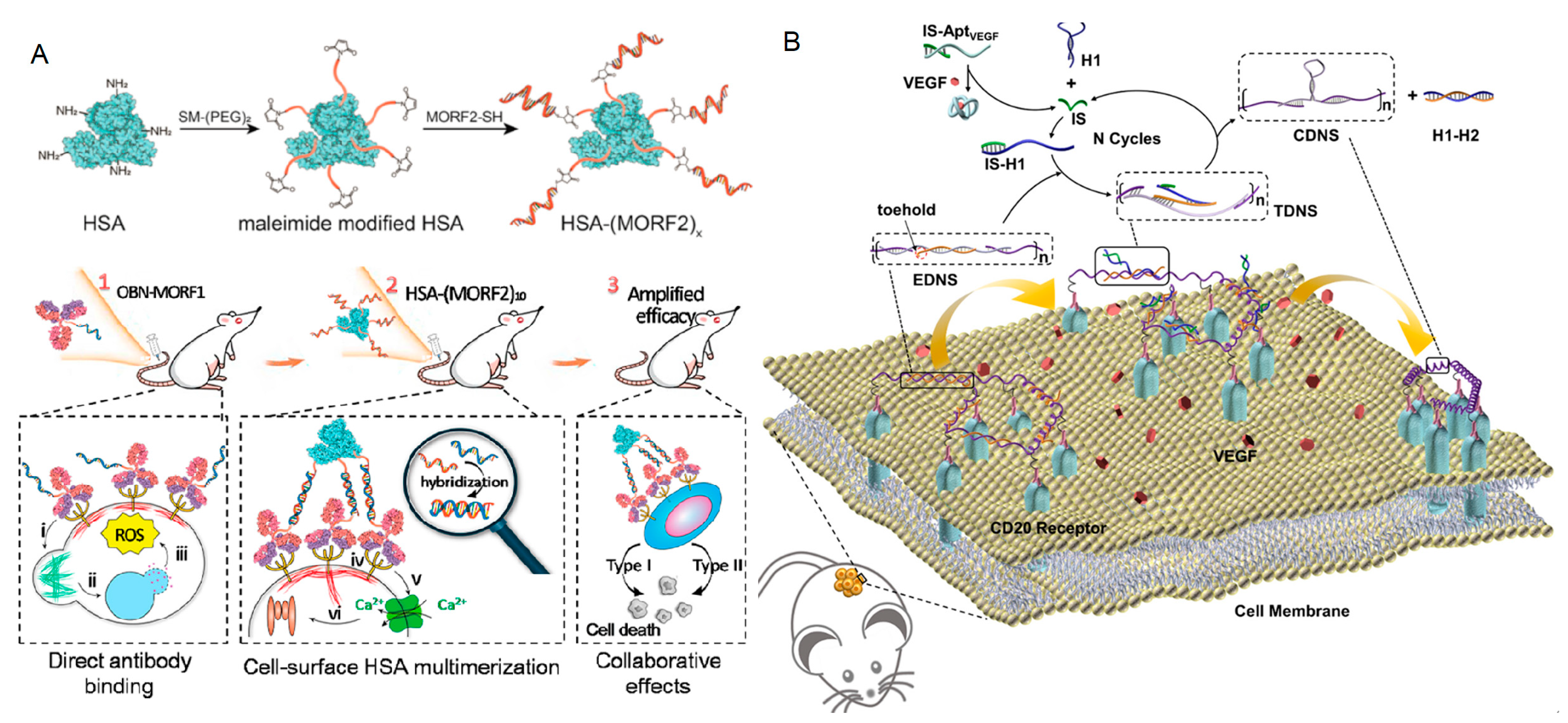 Chemistry 05 00147 g009