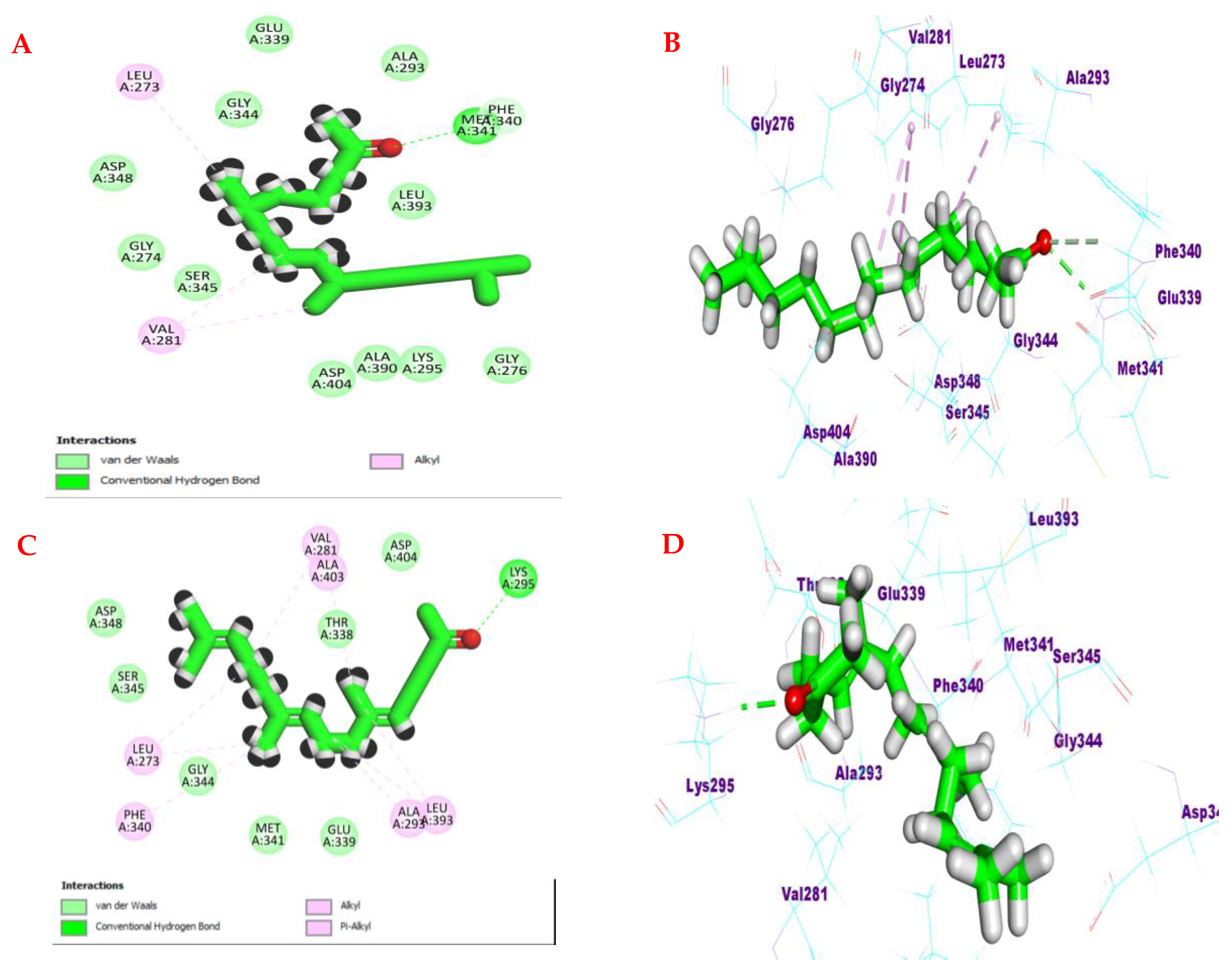 Chemistry 05 00151 g007