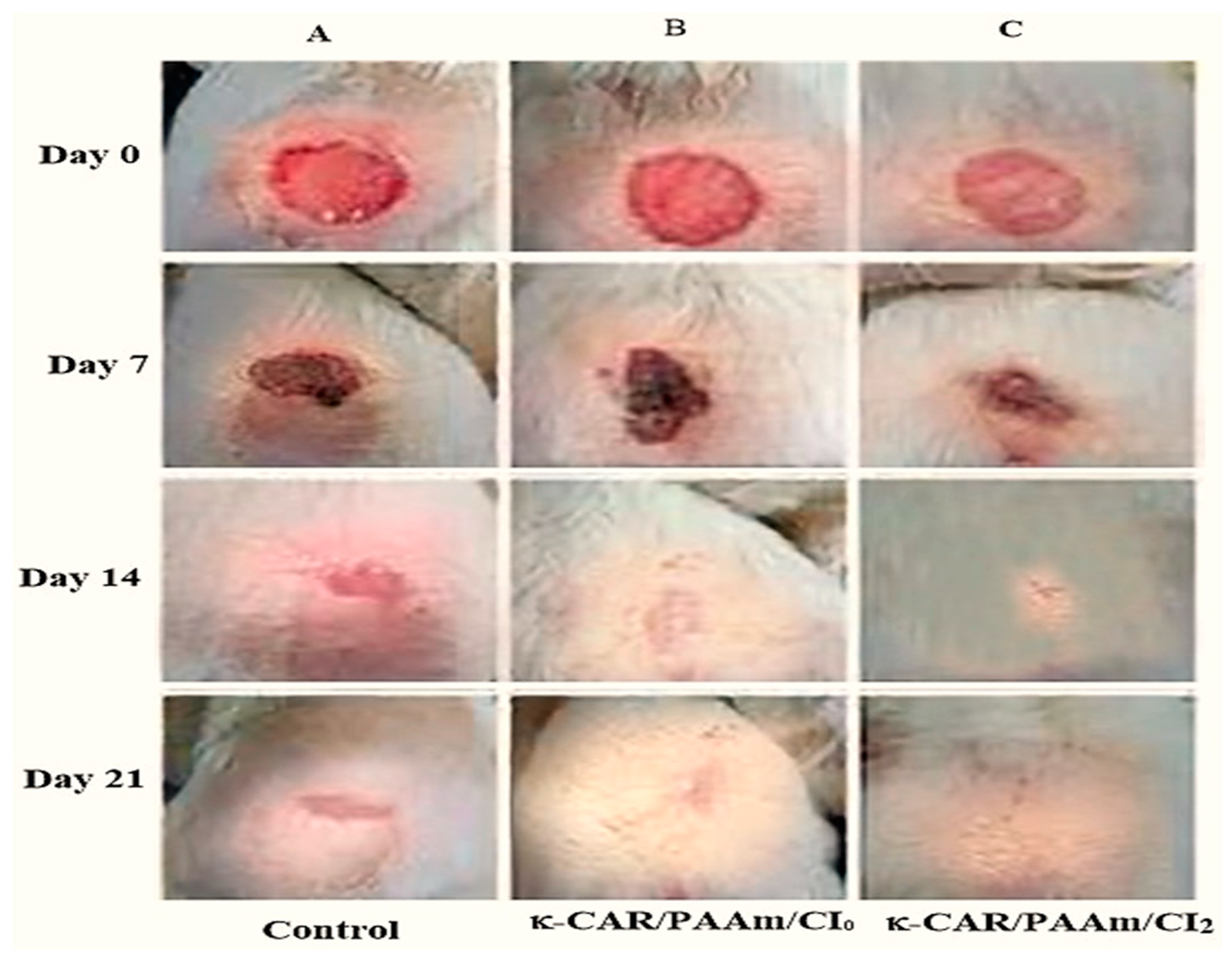 Chemistry 05 00152 g009