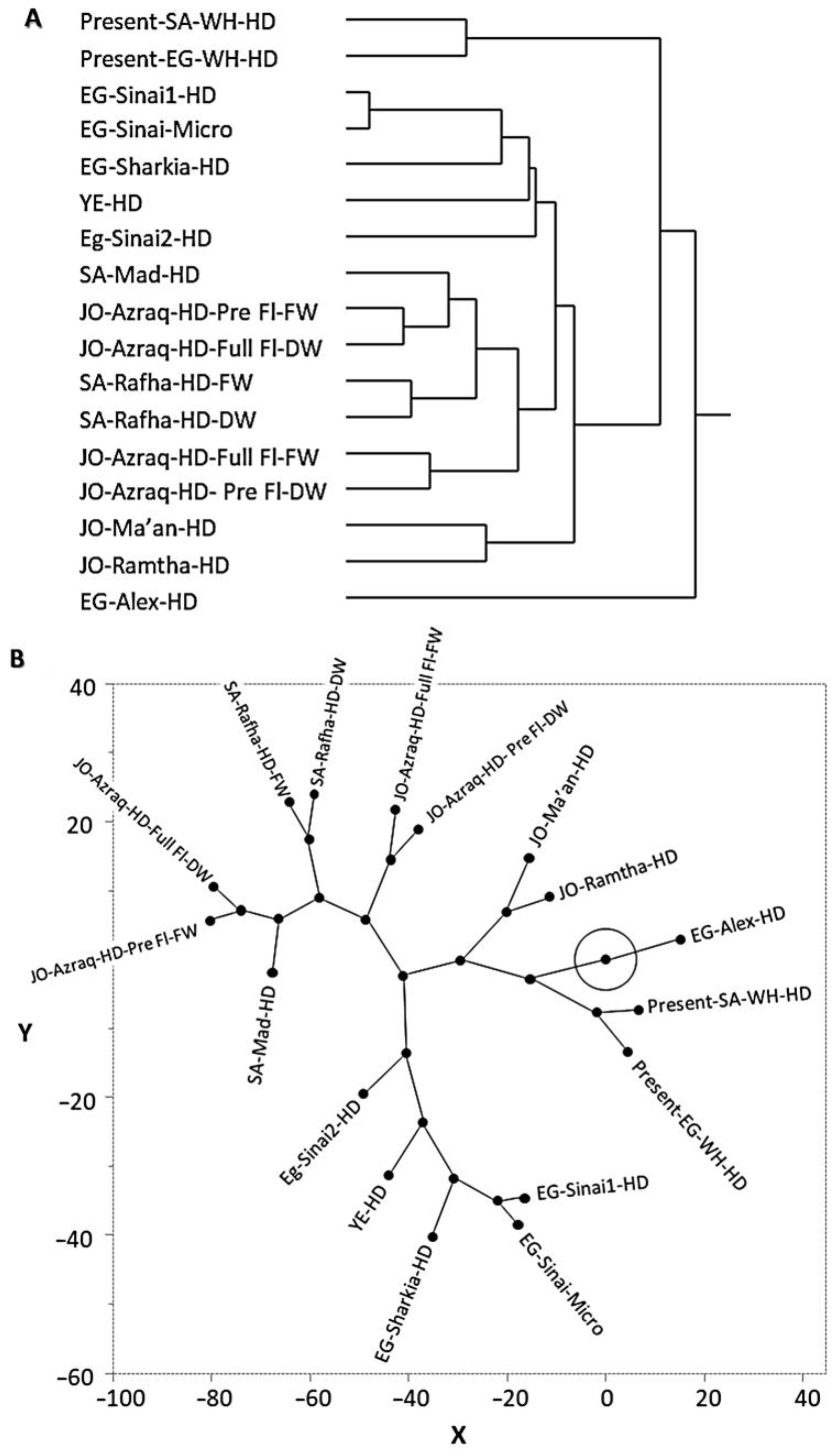 Chemistry 05 00155 g002