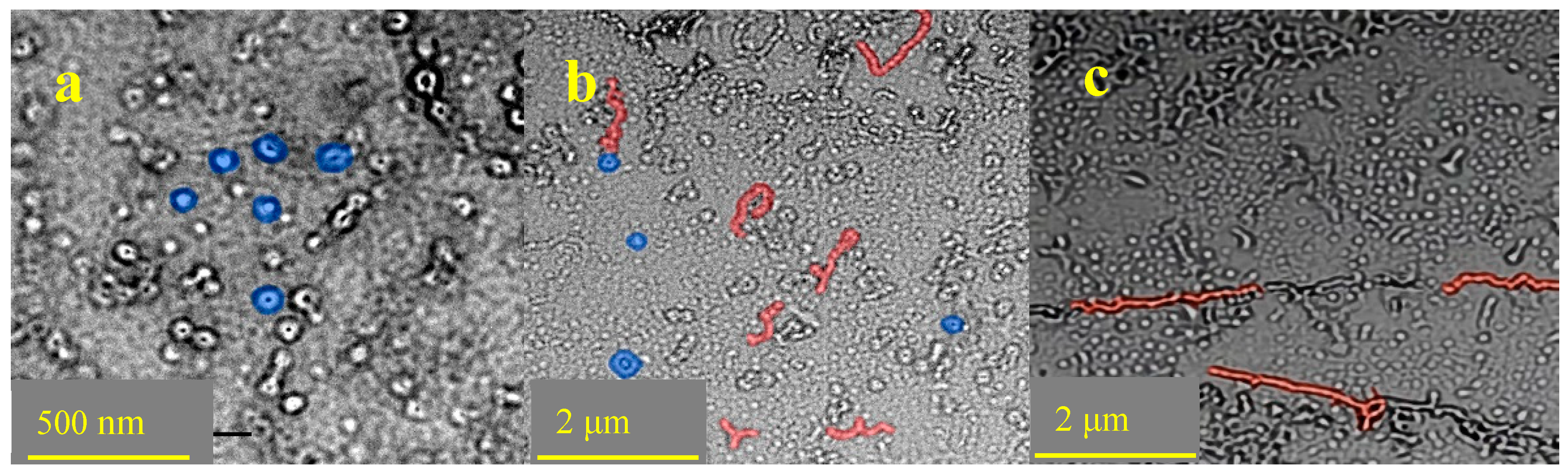 Chemistry 05 00168 g008