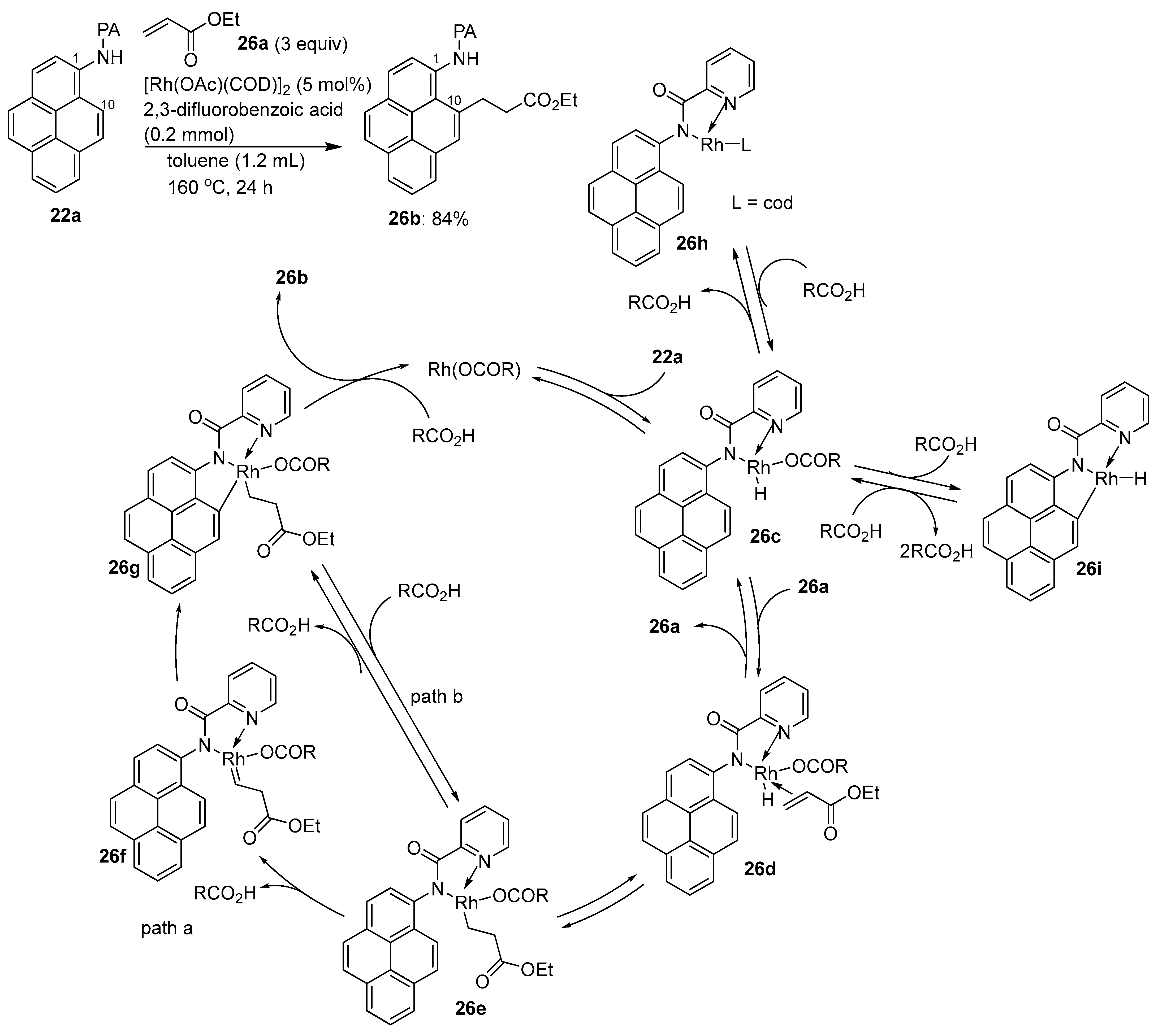 Chemistry 05 00175 sch019