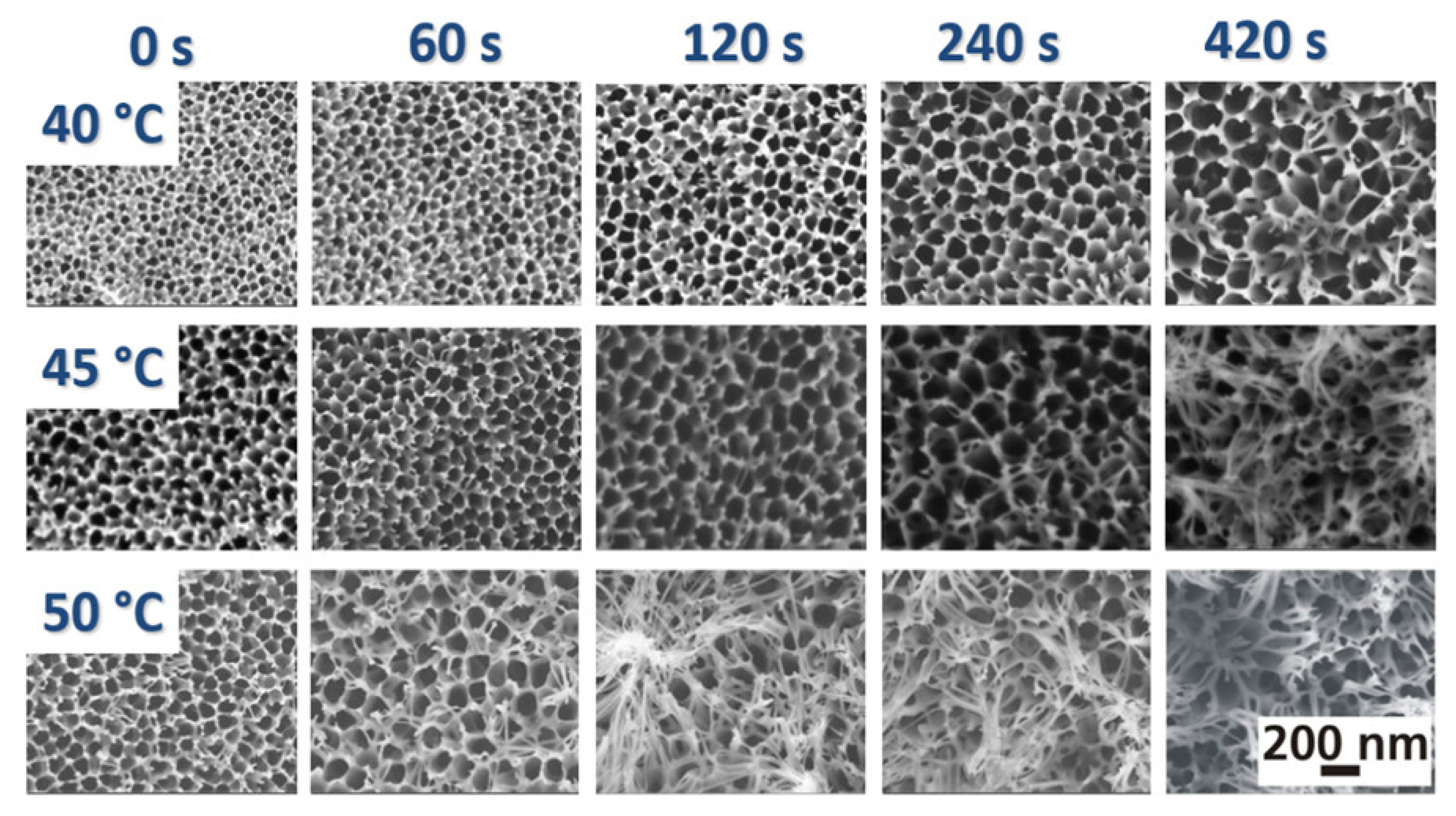 Chemistry 06 00024 g004