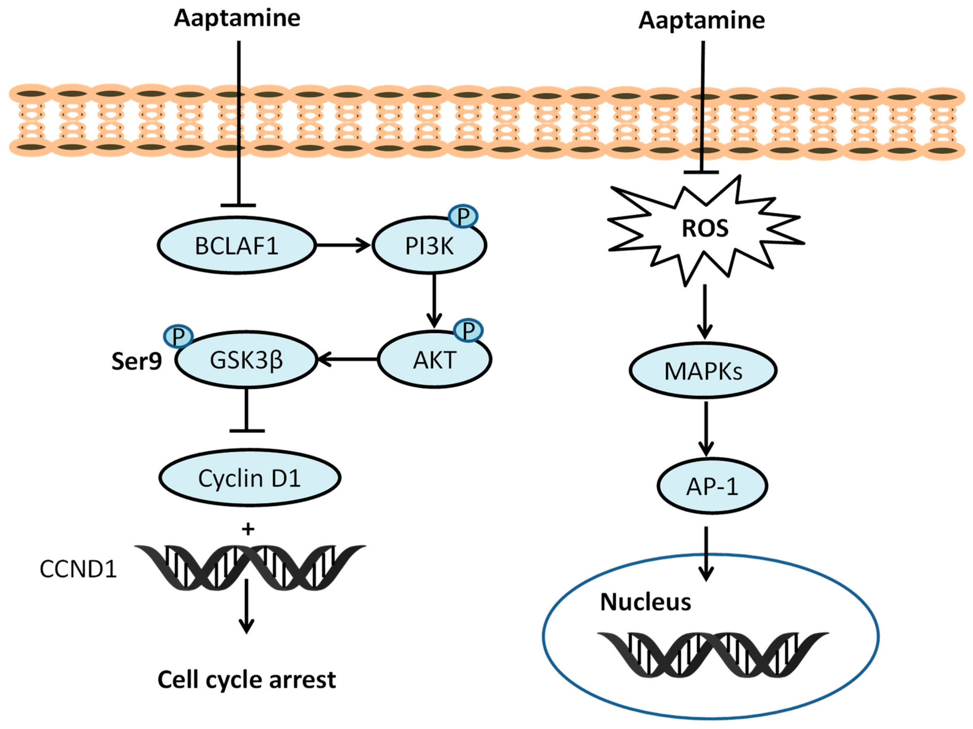 Chemistry 06 00040 g002