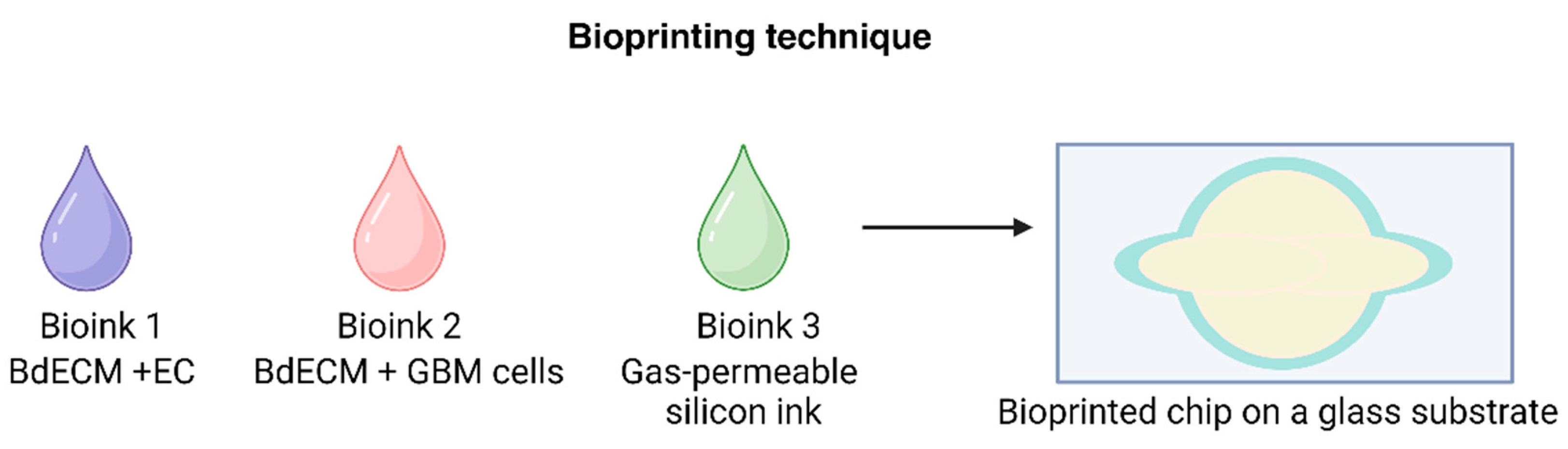 Chemistry 06 00060 g008