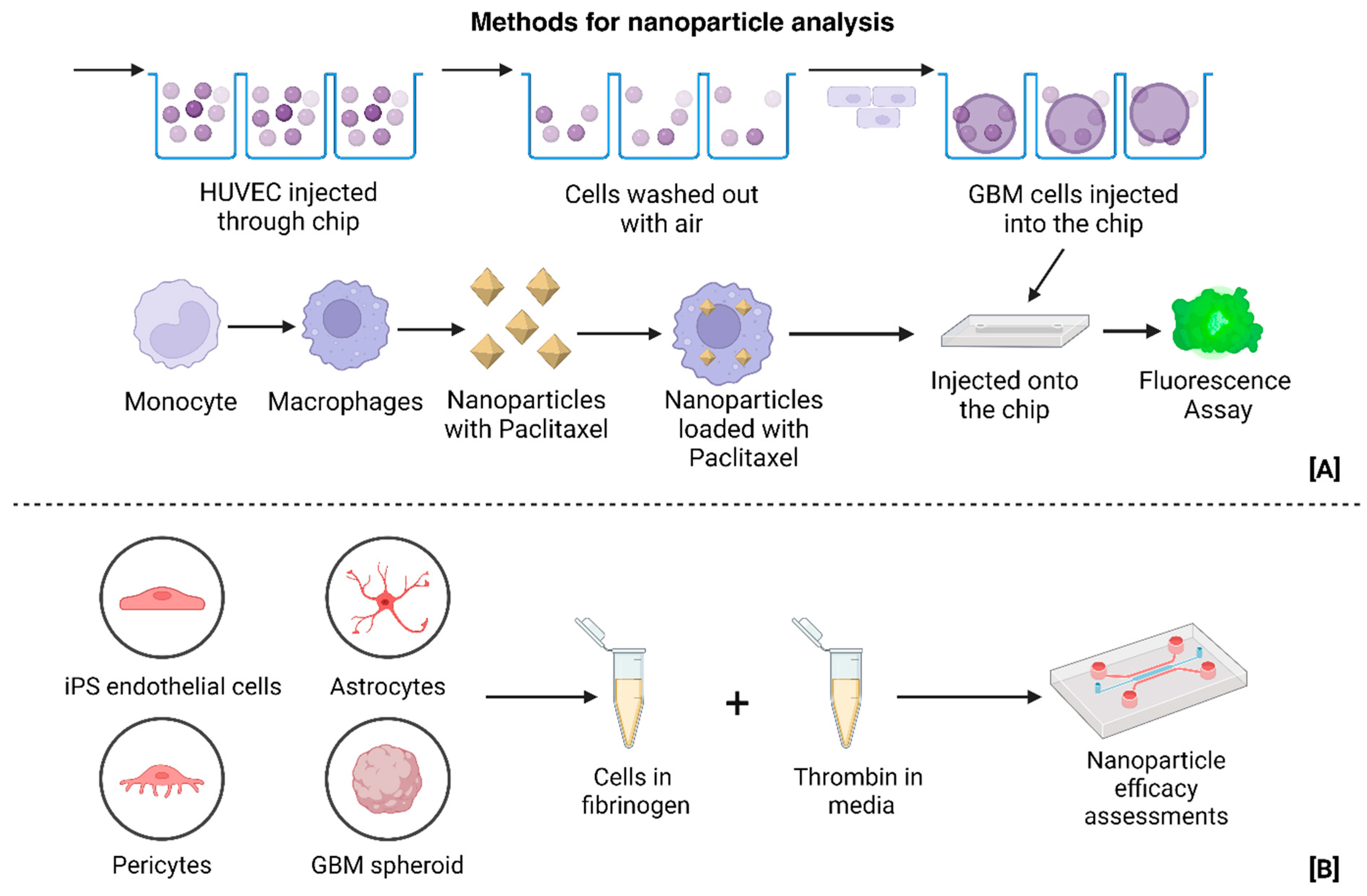 Chemistry 06 00060 g009