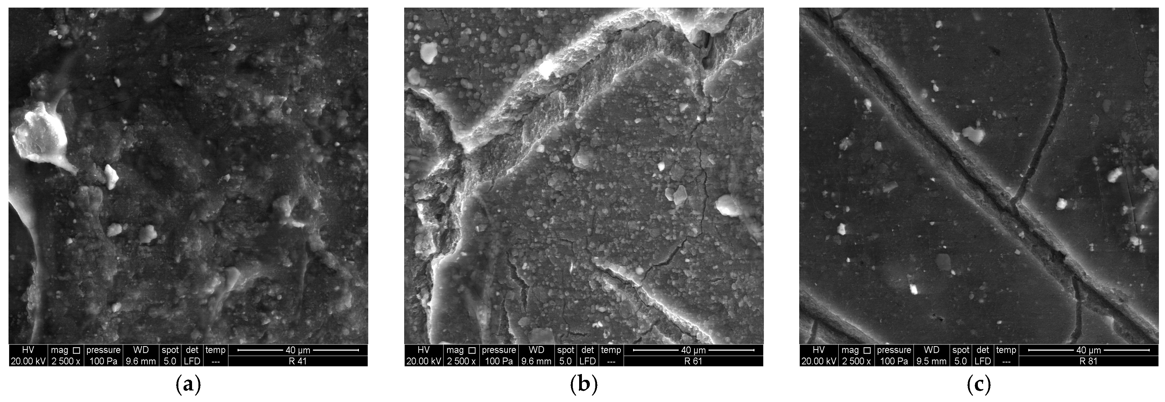 Chemistry 06 00065 g009