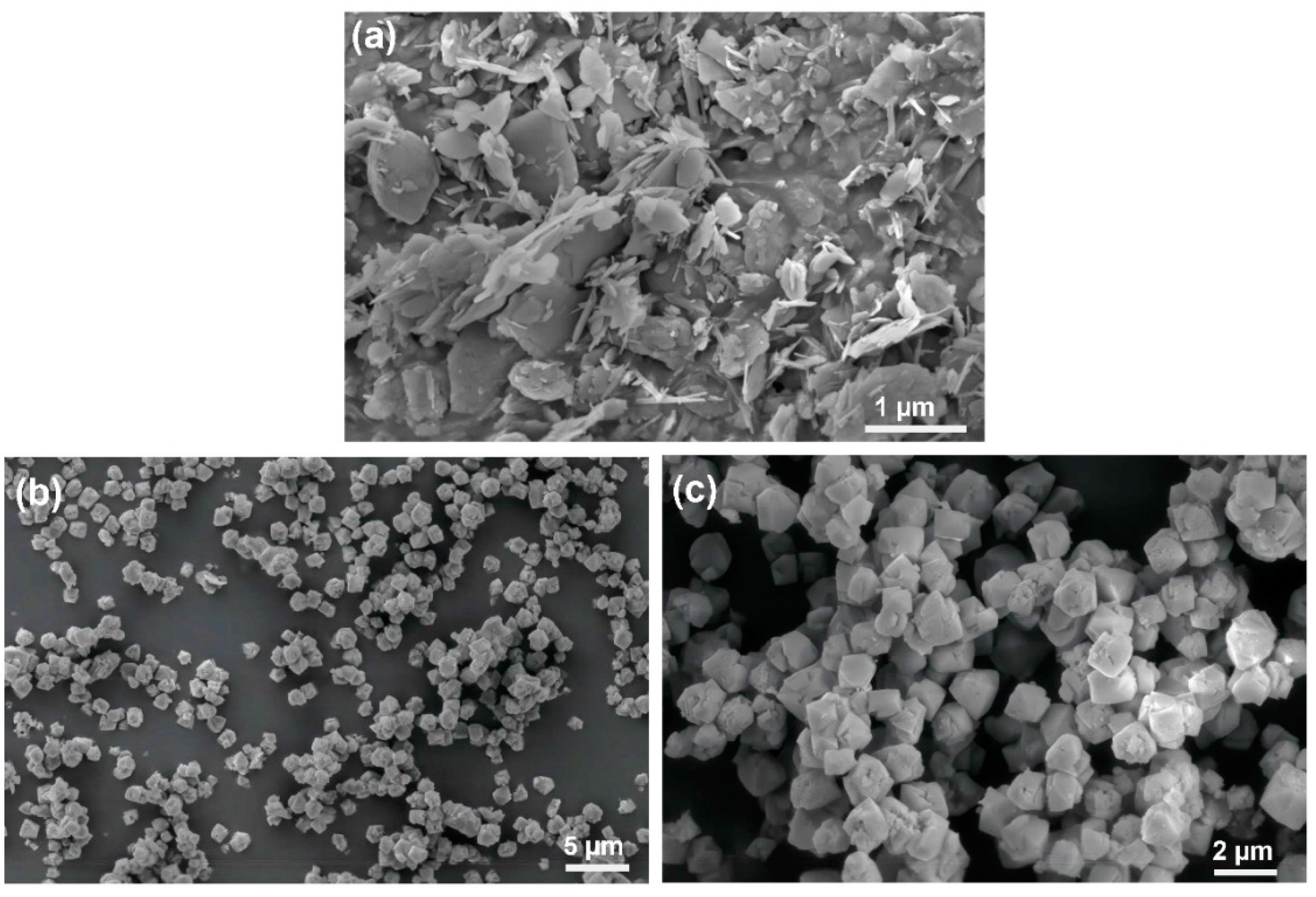 Chemistry 06 00070 g002