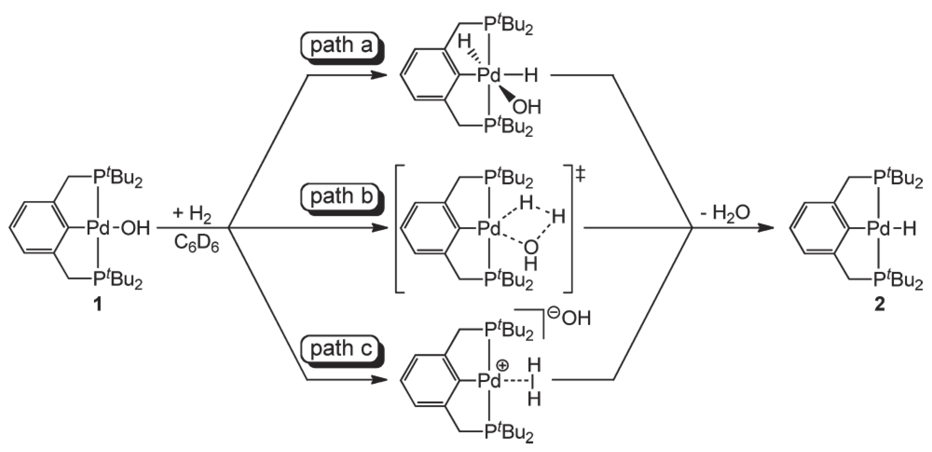 Chemistry 06 00071 sch001
