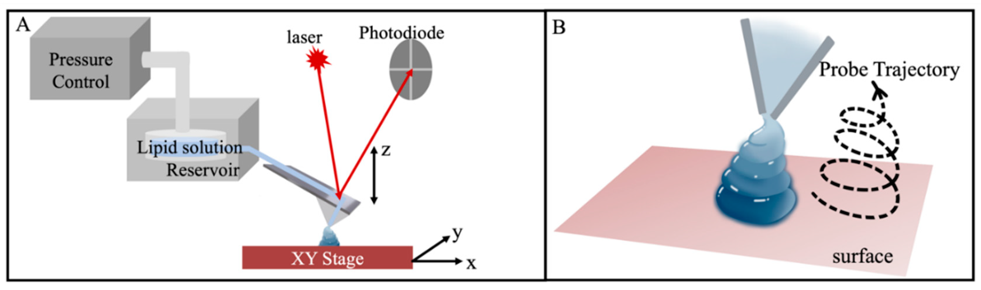 Chemistry 06 00074 g001 Chemistry 06 00074 g001
