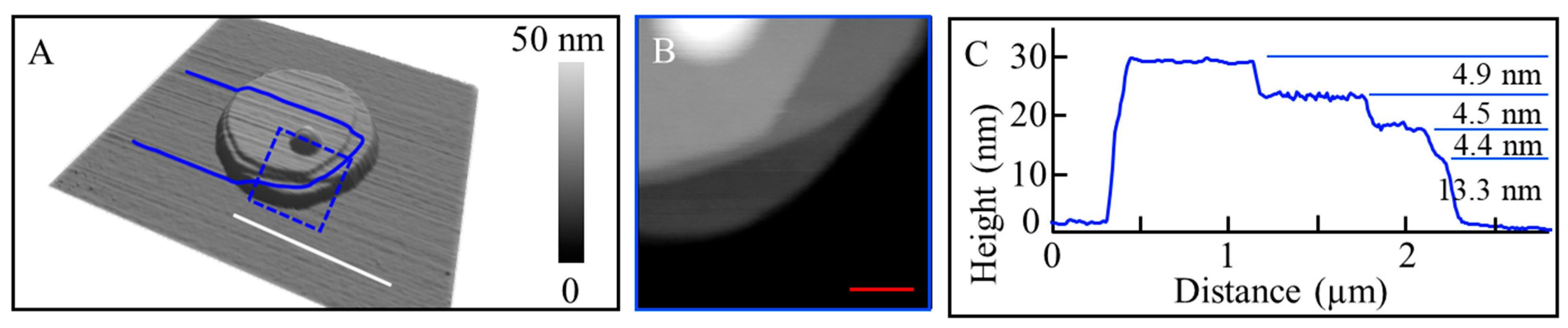 Chemistry 06 00074 g003 Chemistry 06 00074 g003