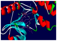 Chemistry 07 00036 i006