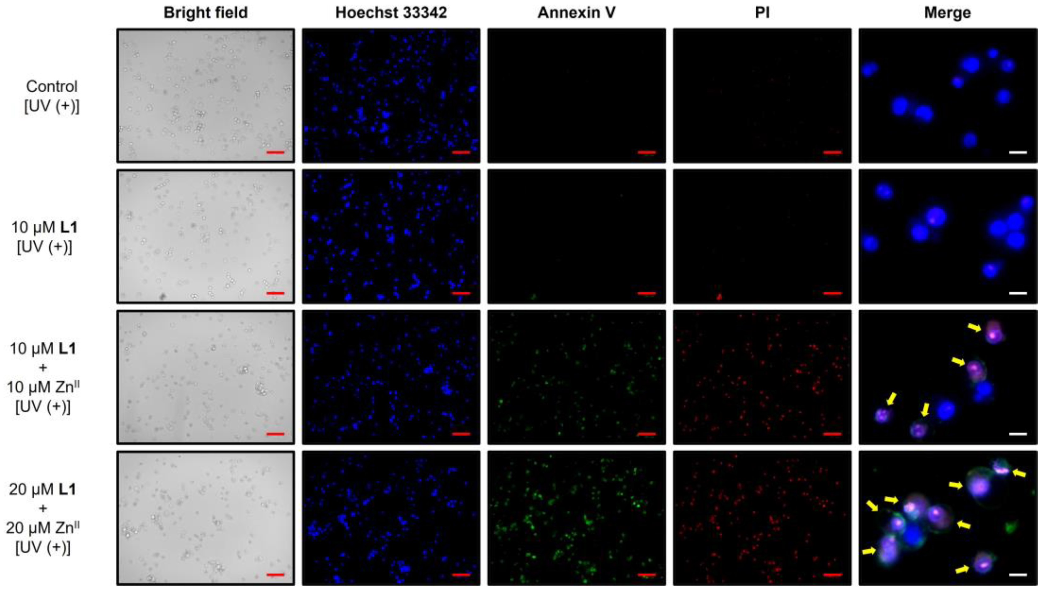 Chemistry 07 00041 g007