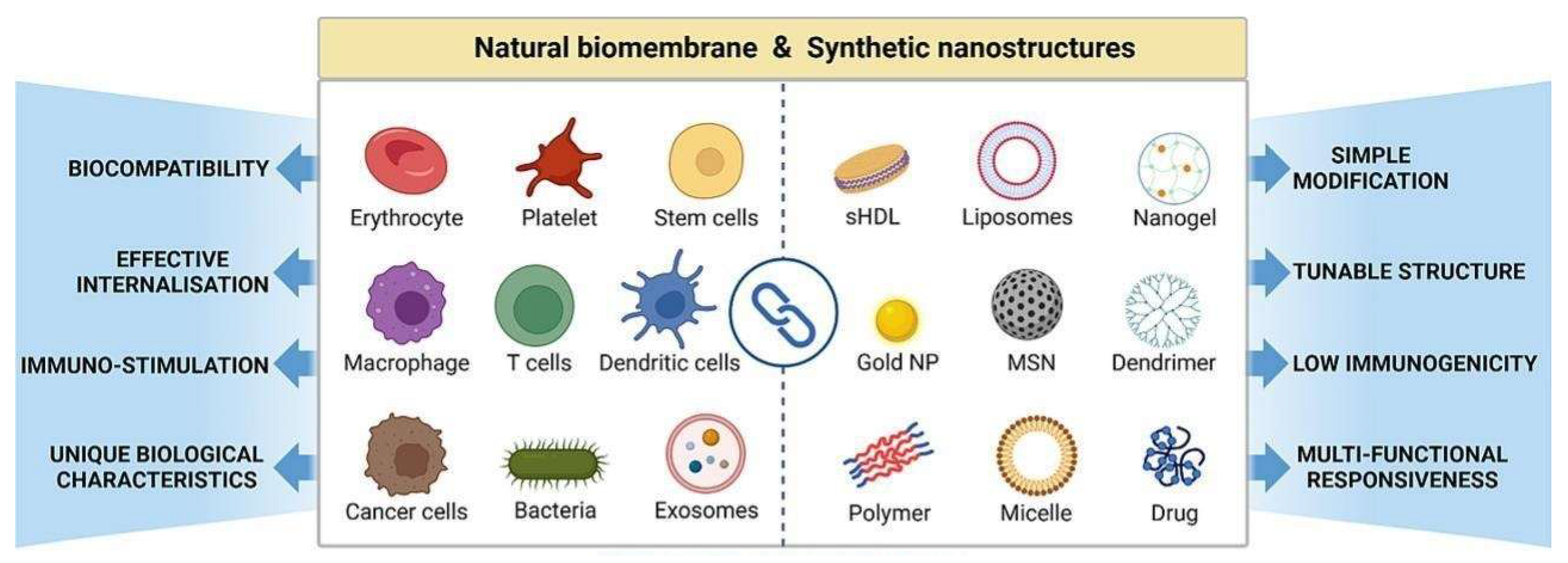 Chemistry 07 00061 g003