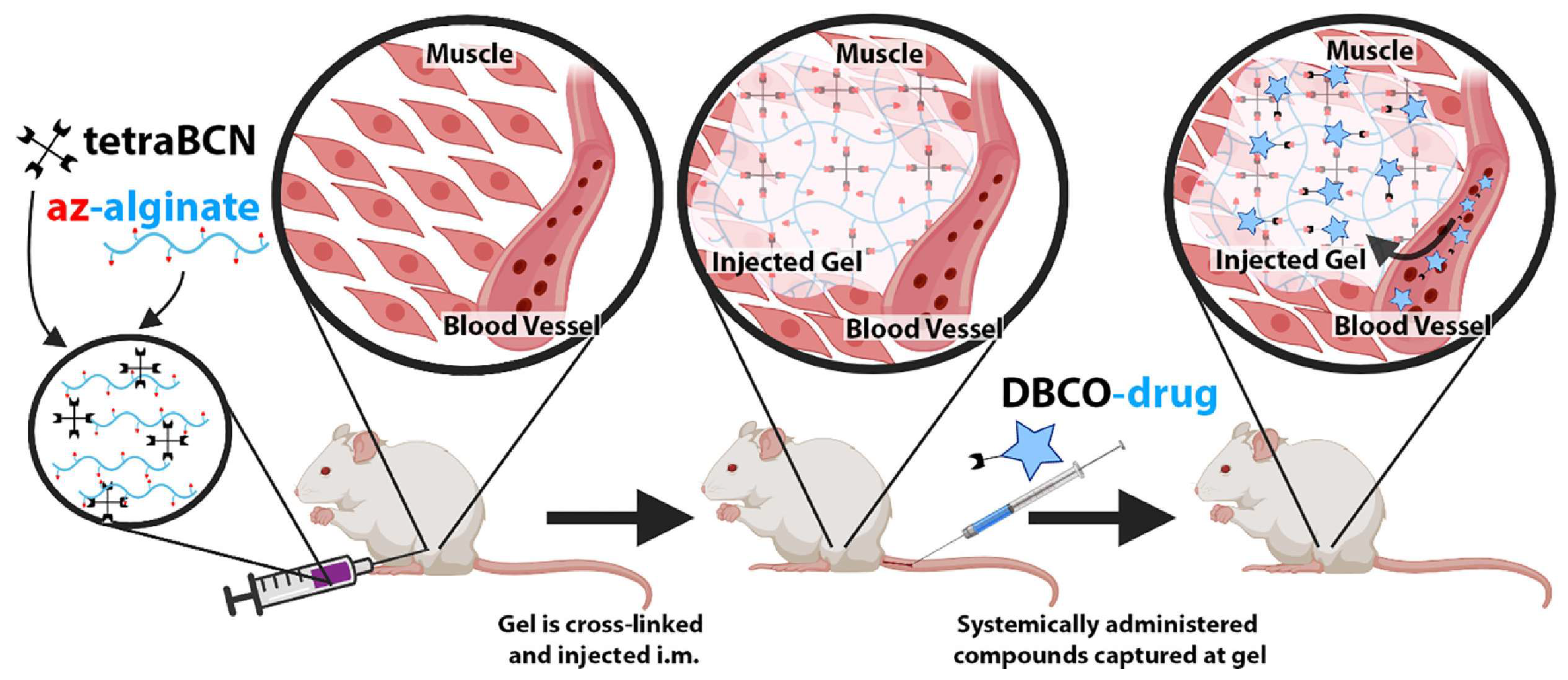 Chemistry 07 00061 g007