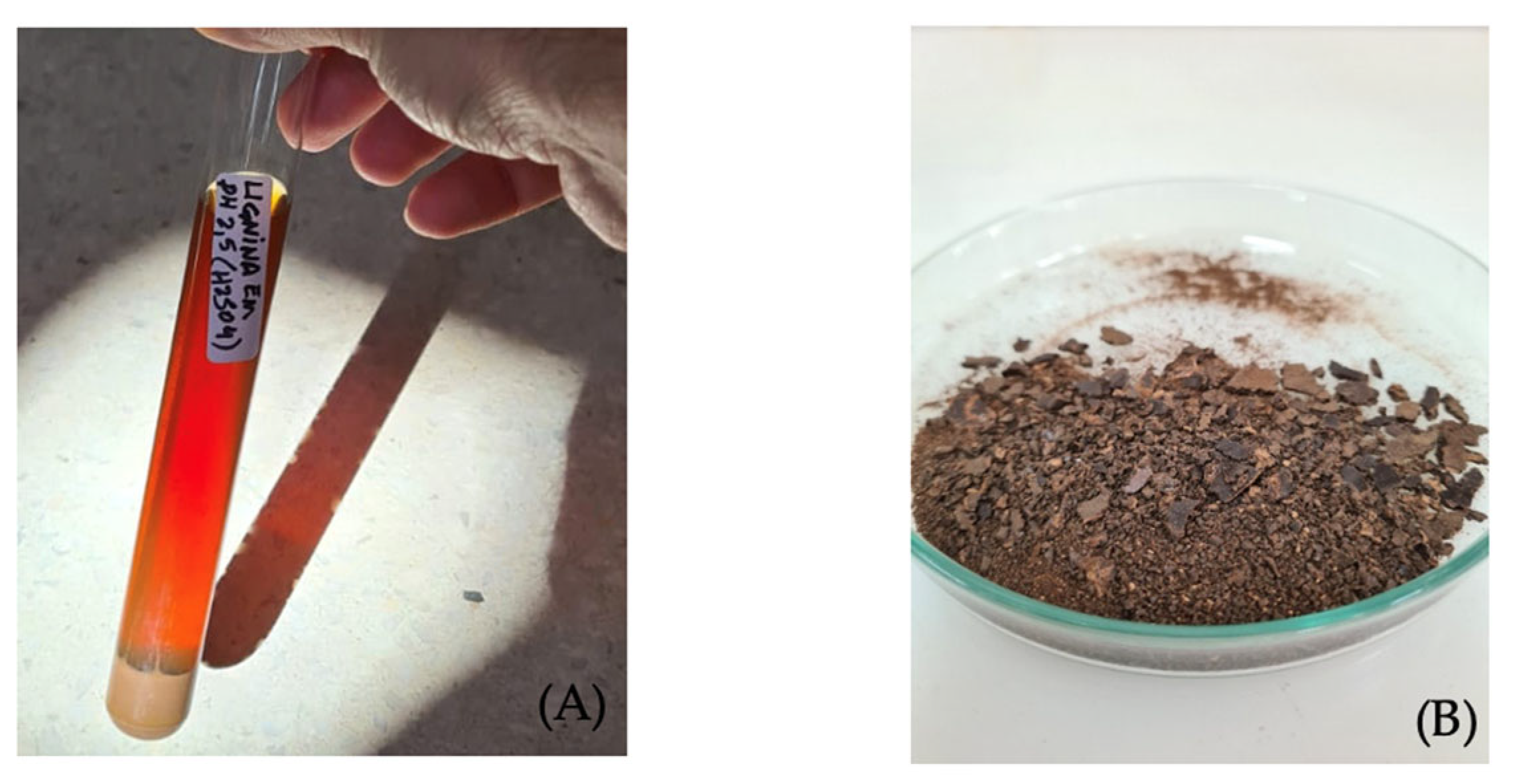 Chemistry 07 00086 g004