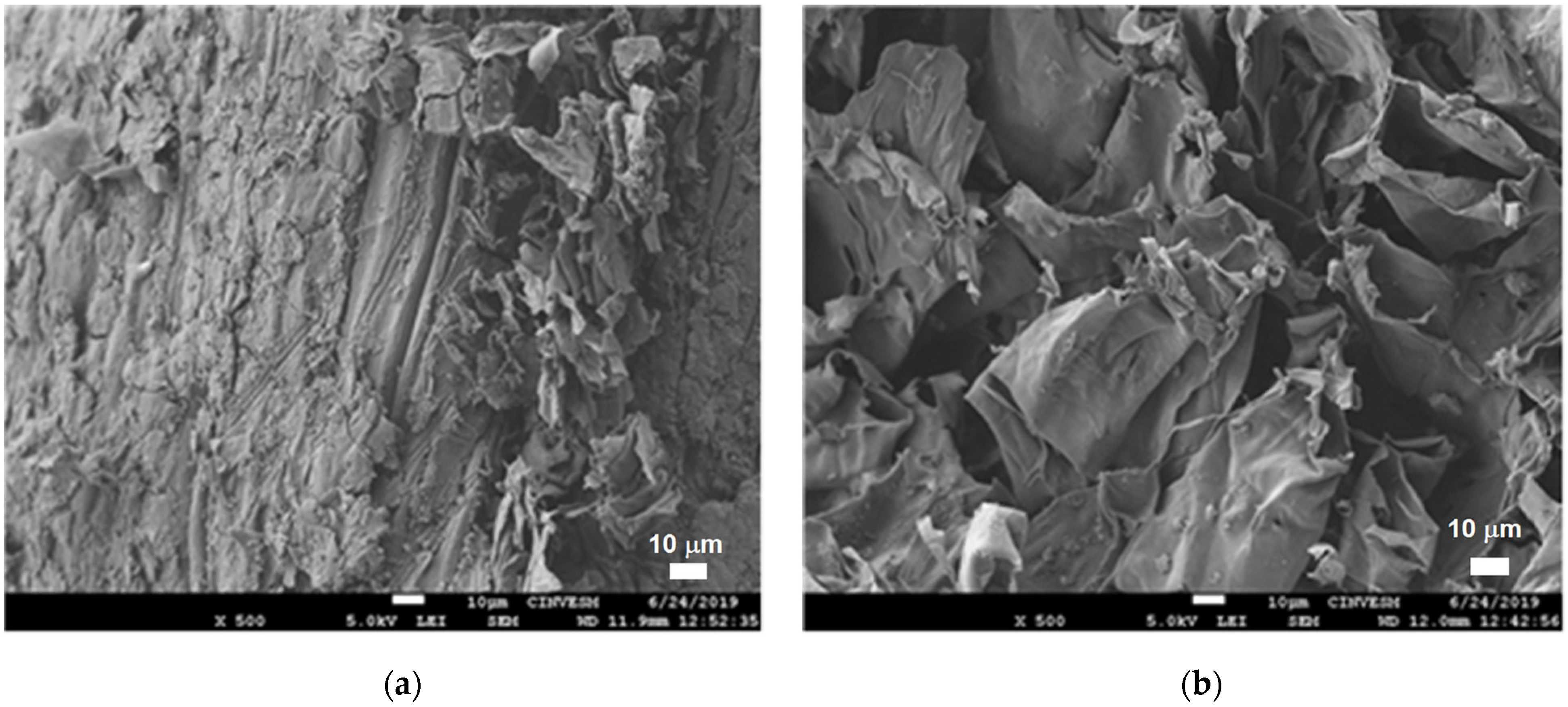Chemistry 07 00088 g004