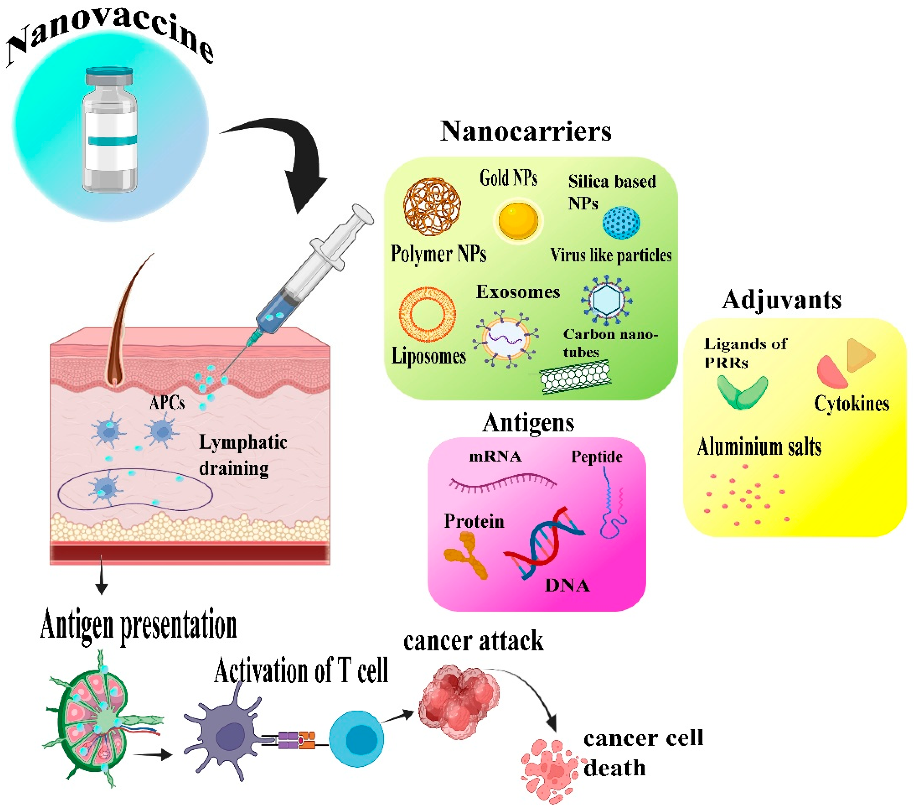 Chemistry 07 00097 g001