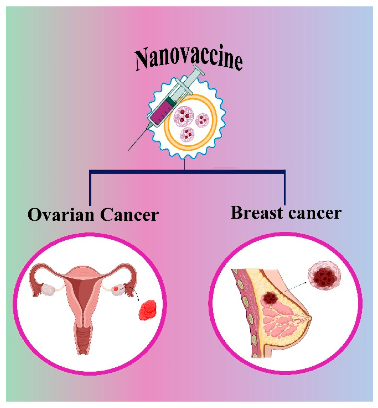 Chemistry 07 00097 g004